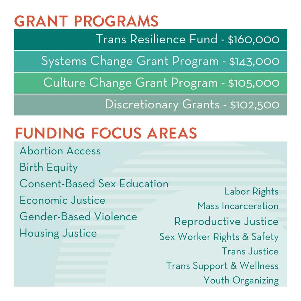  Grant Programs:  Trans Resilience Fund - $160,000  Systems Change Grant Program - $143,000  Culture Change Grant Program - $105,000  Discretionary Grants - $102,500    Funding Focus Areas  Abortion Access  Birth Equity  Consent-Based Sex Education  