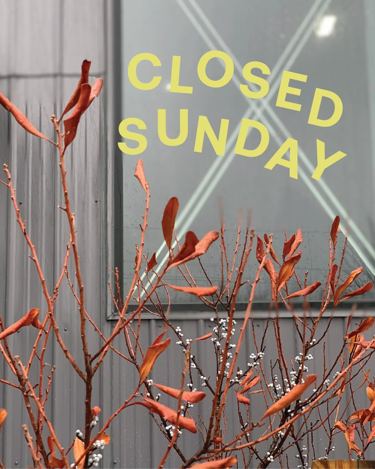 Volta will be closed on Sunday, April 5th.

Reminder! This weekend, our new spring and summer Saturday hours begin. We will be open 9am-6pm (previously 9am-8pm) until the fall. 🌱🌞🍁