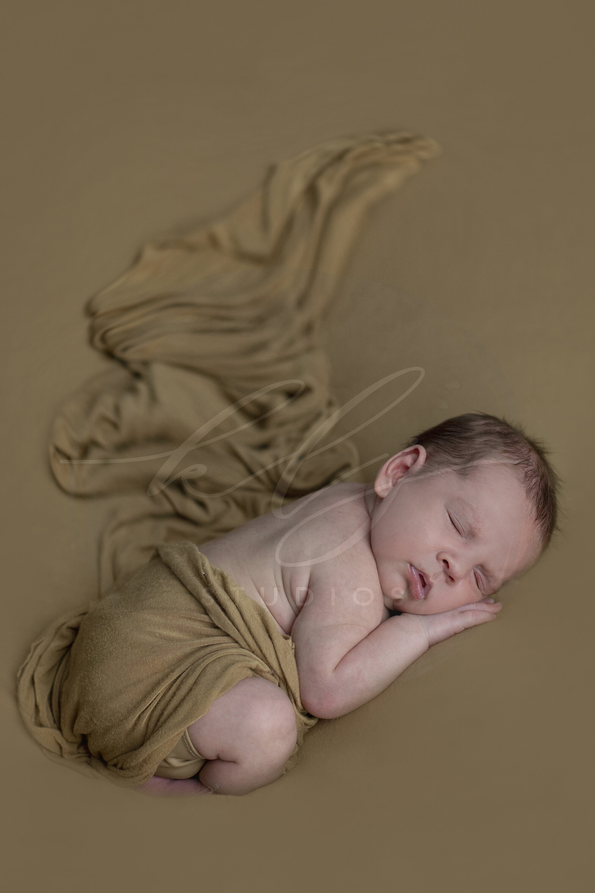 newborn portrait