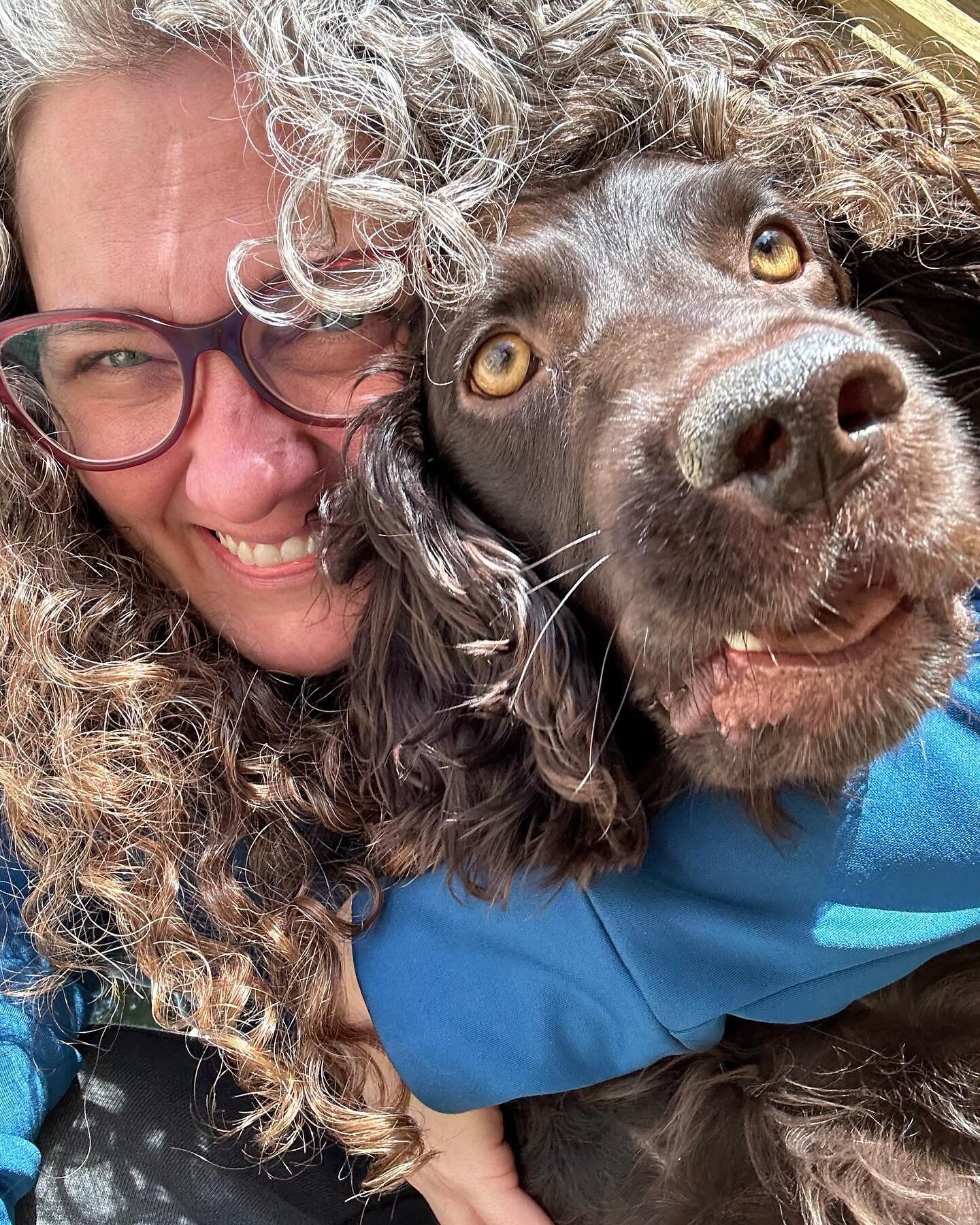 Many years ago my friend and animal communicator @emma.in.design gave me a message from our pup, Ruby, stating &ldquo;the brown dog would be the key to my success&rdquo;. 

Six months later I was in the midst of offering Nash (our Boykin Spaniel aka 