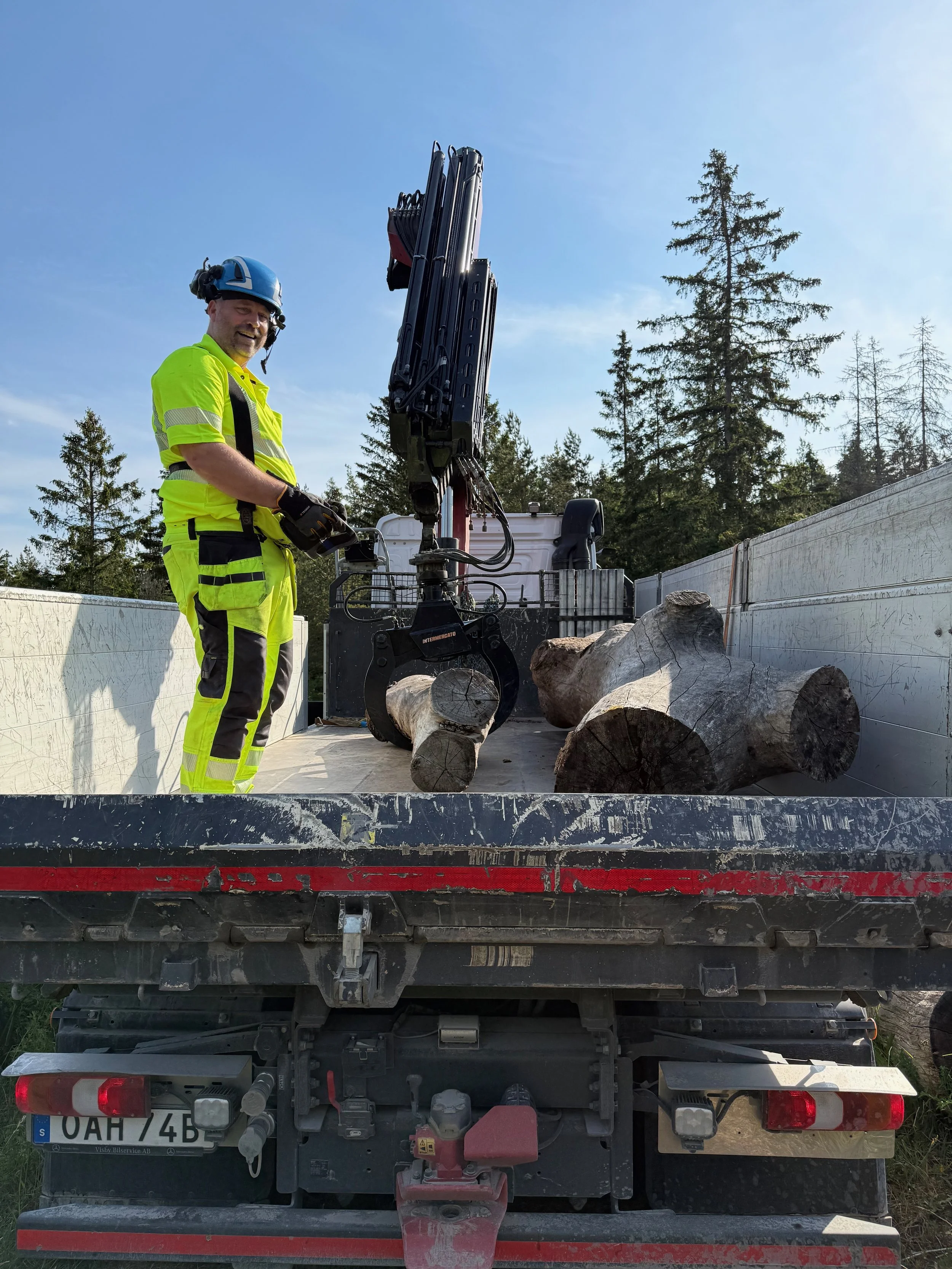 Collecting locally sourced oak logs for balancing play