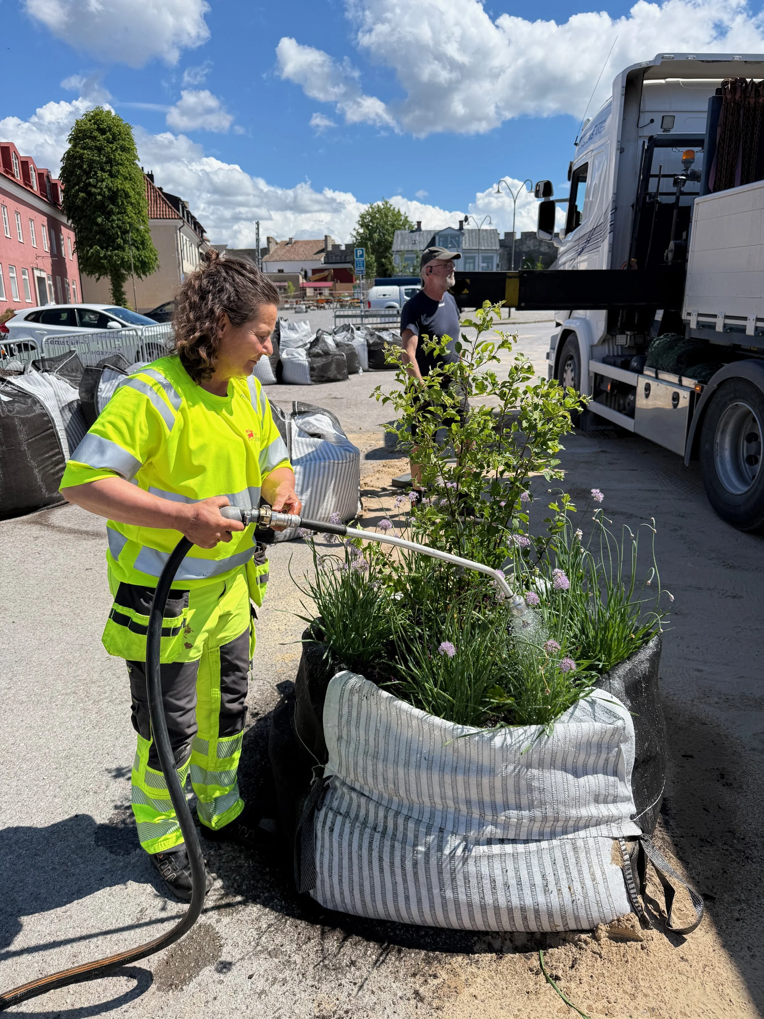 Watering is the single most important maintenance-activity and in this case waste water from the water cleaning plant is used