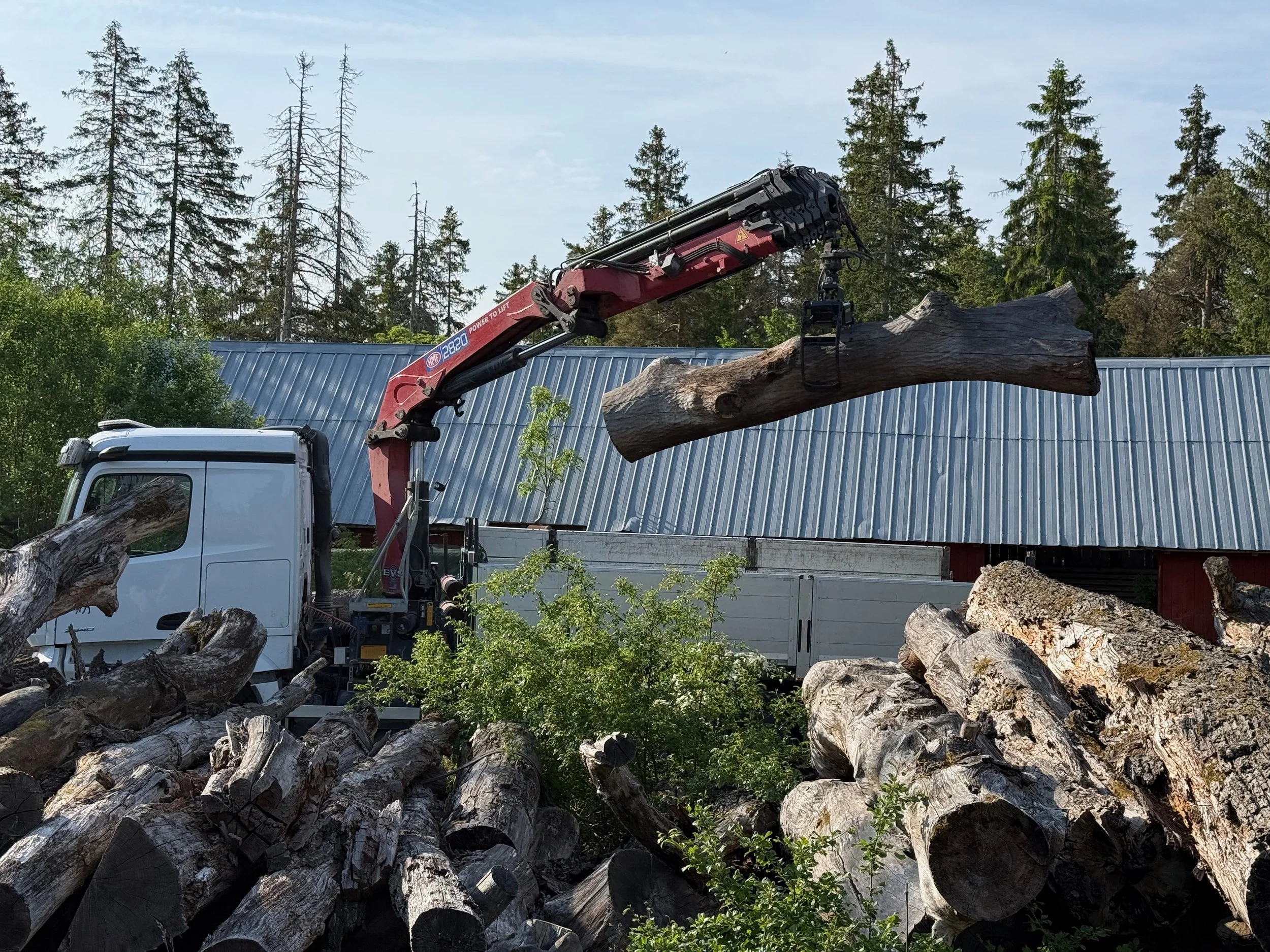 Collecting locally sourced oak logs for balancing play