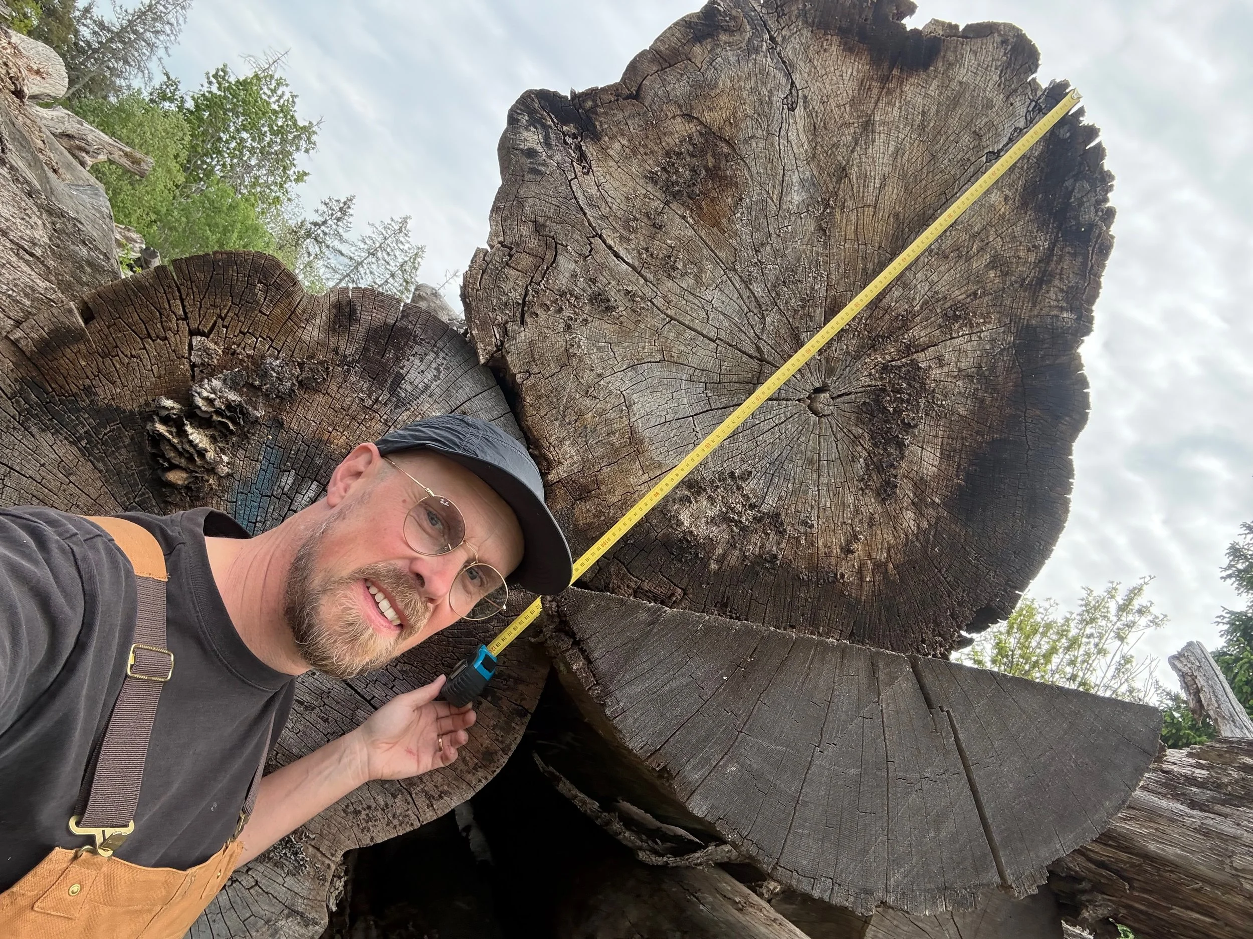Selecting locally sourced oak logs for balancing play