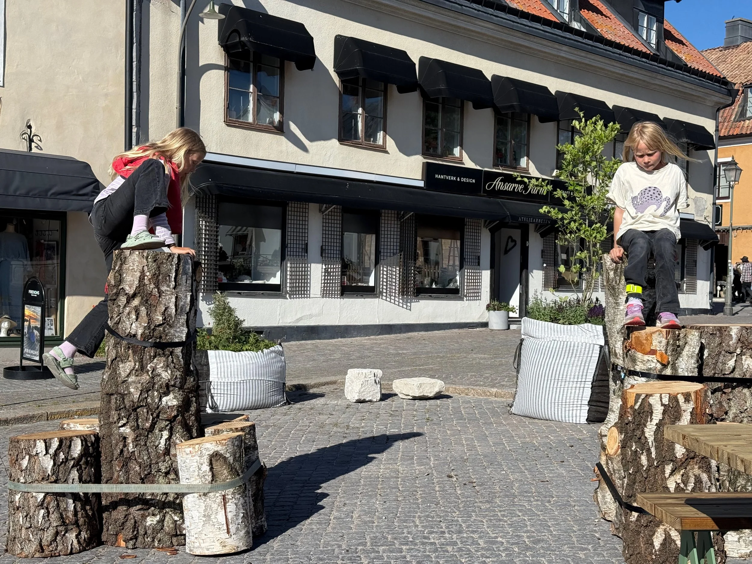 Climbing the birch-log furniture