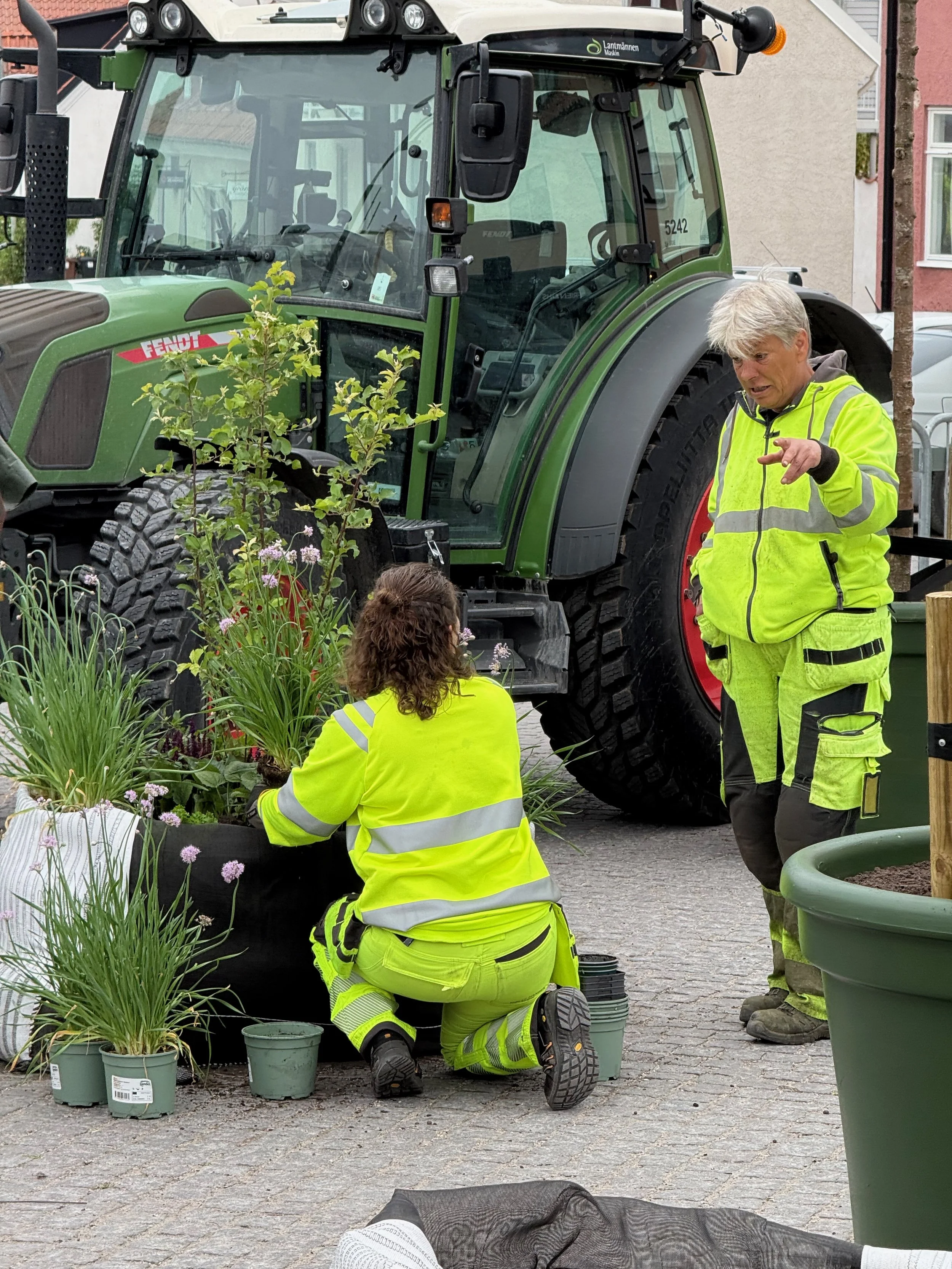 Planting edible plants