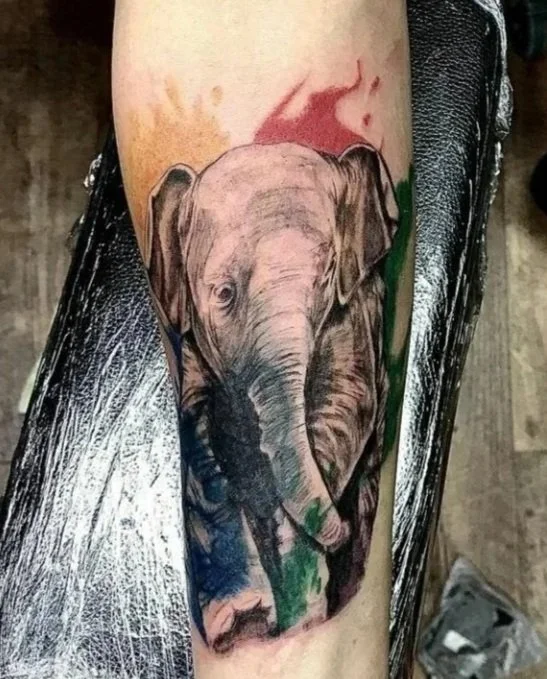 Realistic baby elephant tattoo in soft color tones with subtle red and green abstract background on inner forearm, highly detailed texture and shading.