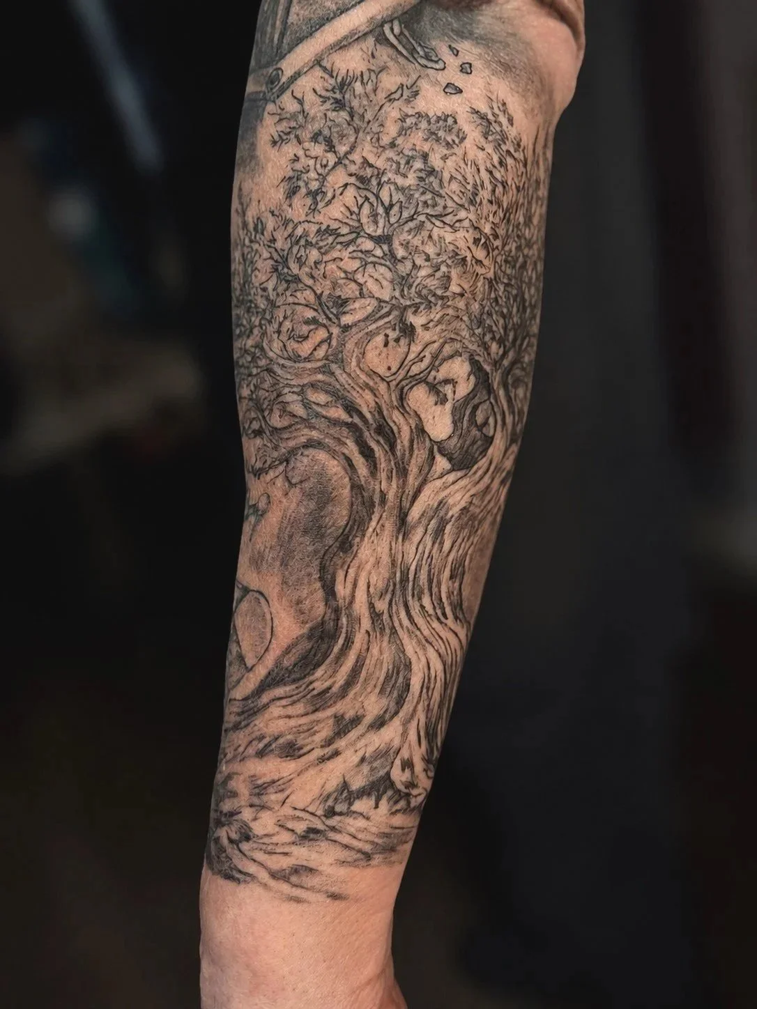 Detailed black and grey Tree of Life forearm tattoo featuring flowing roots, textured bark, and intricate branches symbolizing growth, strength, family and resilience.
