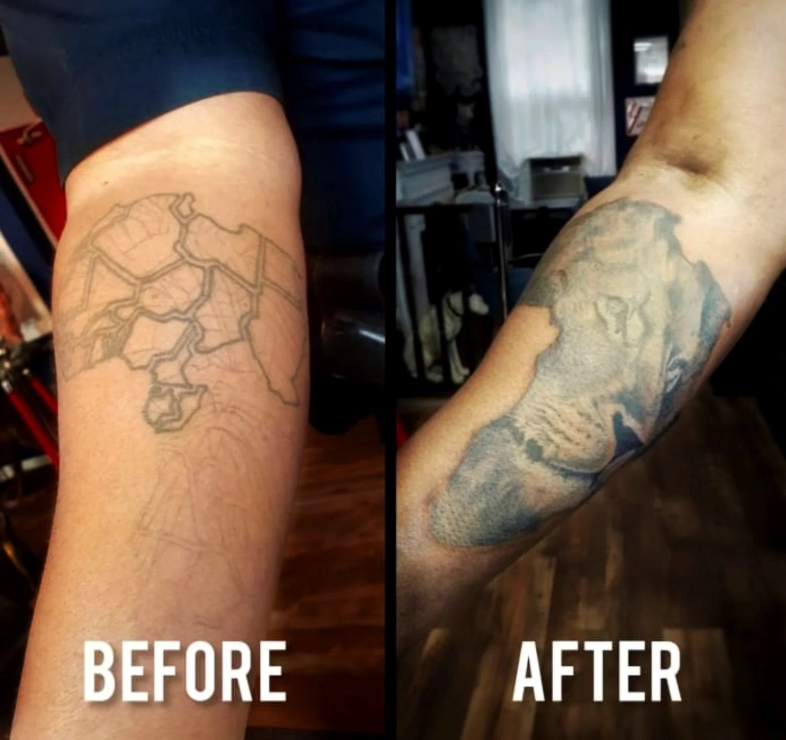 Before-and-after tattoo cover-up showing a faded African continent outline transformed into a realistic black-and-grey lion tattoo on the forearm by a Bronx, NYC tattoo artist.