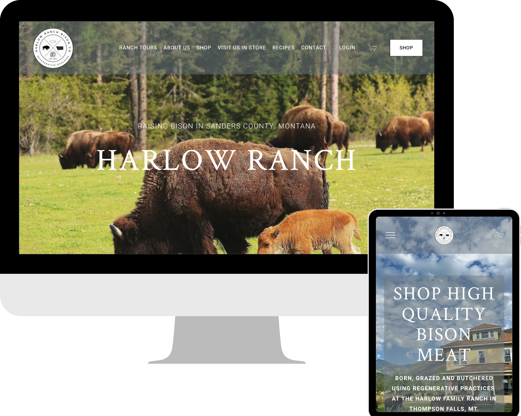 Harlow Bison Ranch