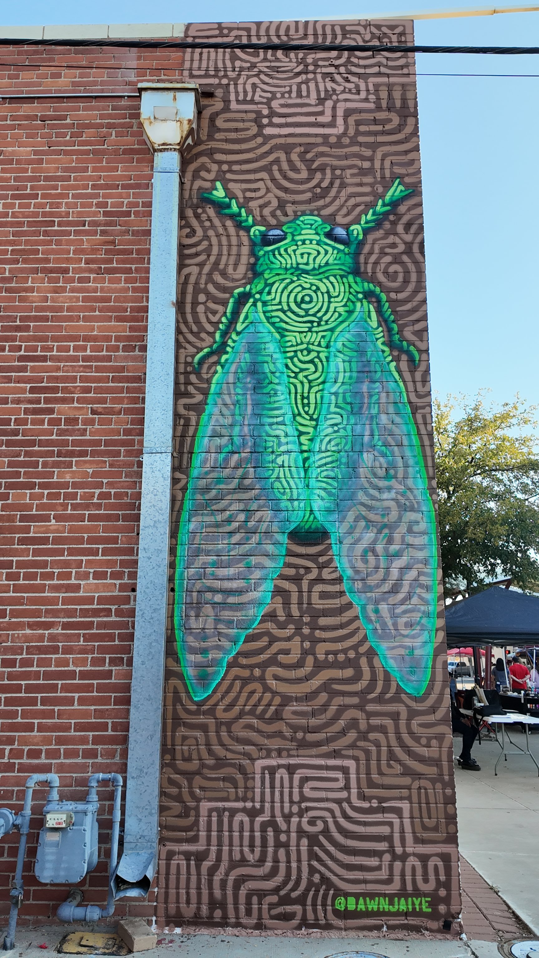 Cicada
2025
Hobbs, New Mexico