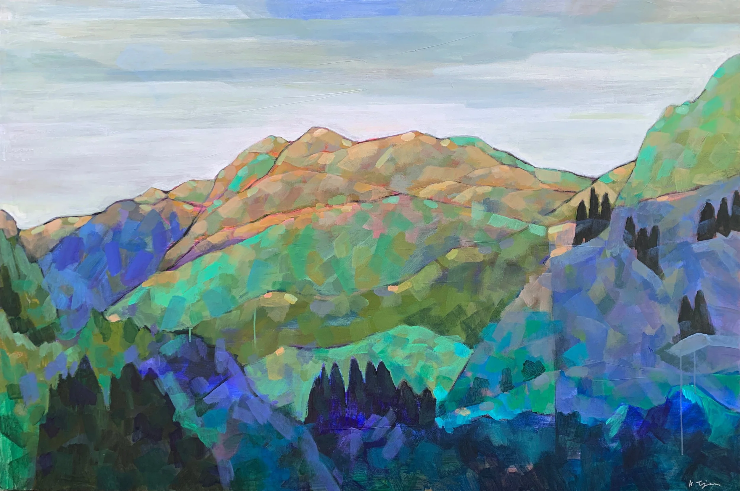 Mountain Range III
 60 × 40 in 
 Placed in a private collection 