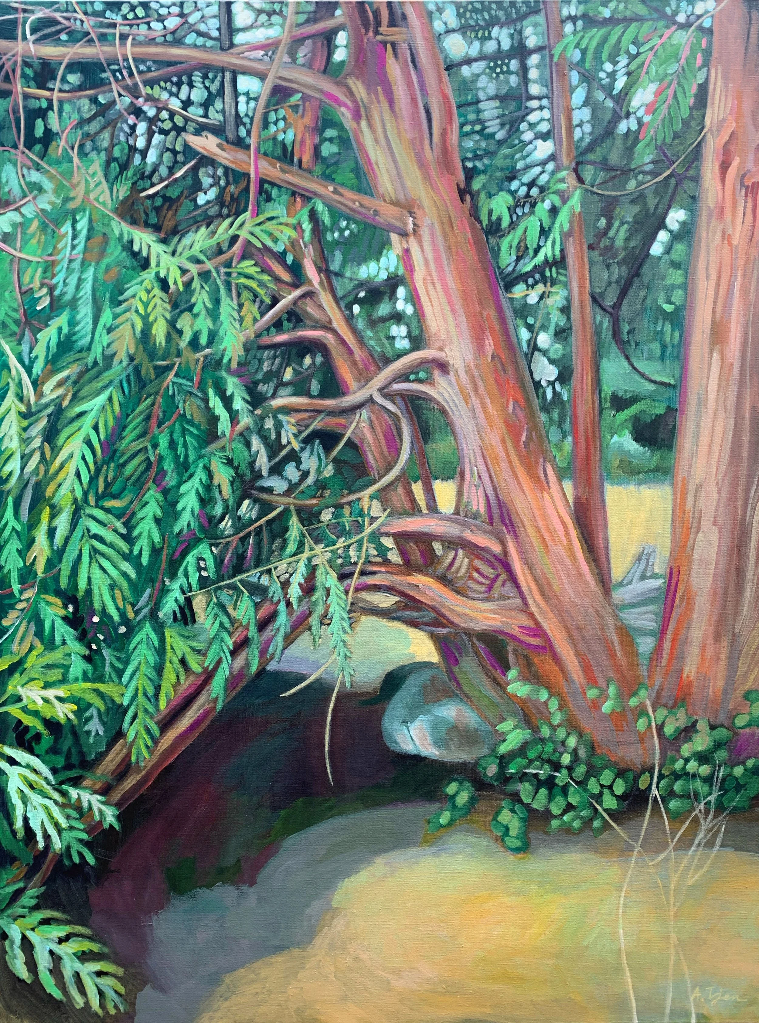 Arbutus Tree, 36"x48", Acrylic on Canvas
