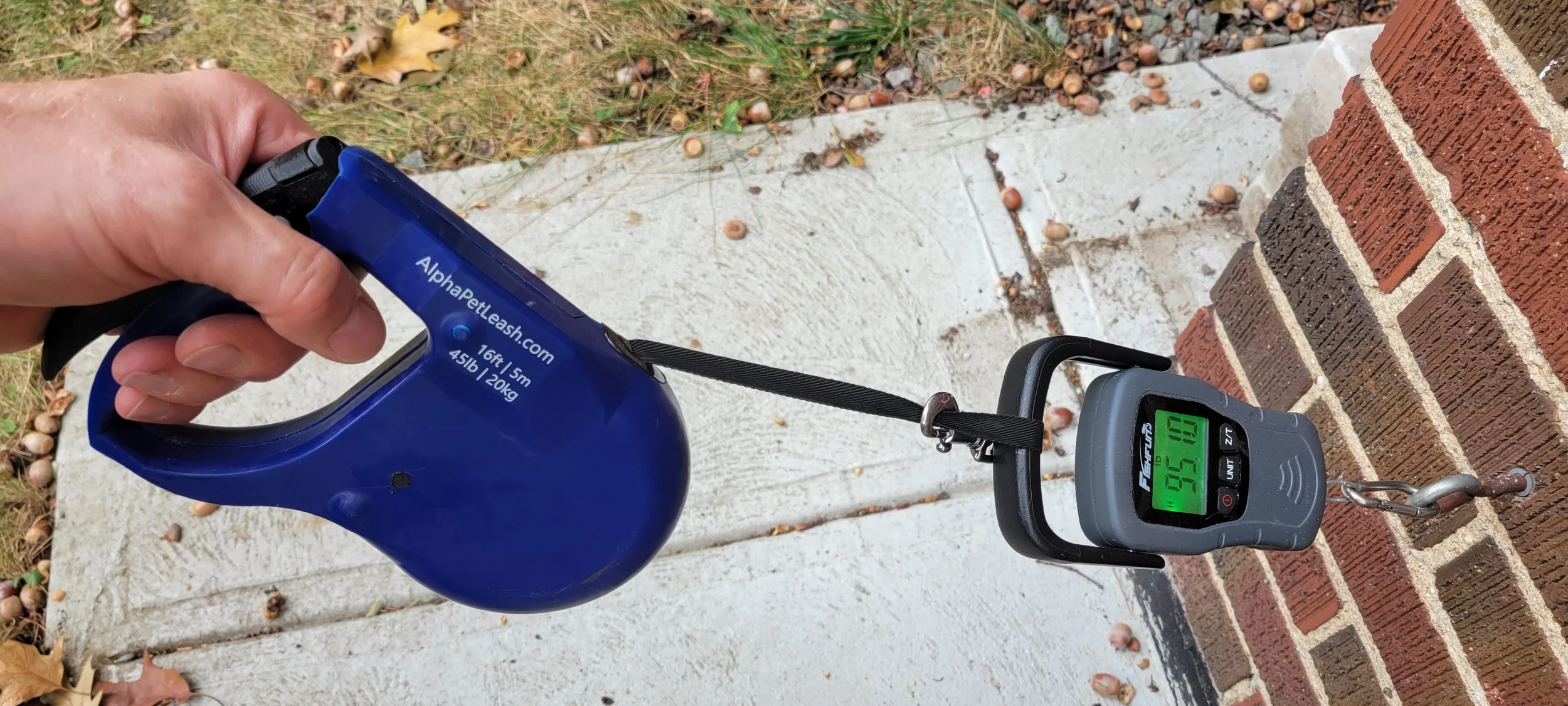 ALPHA Leash Pull Test