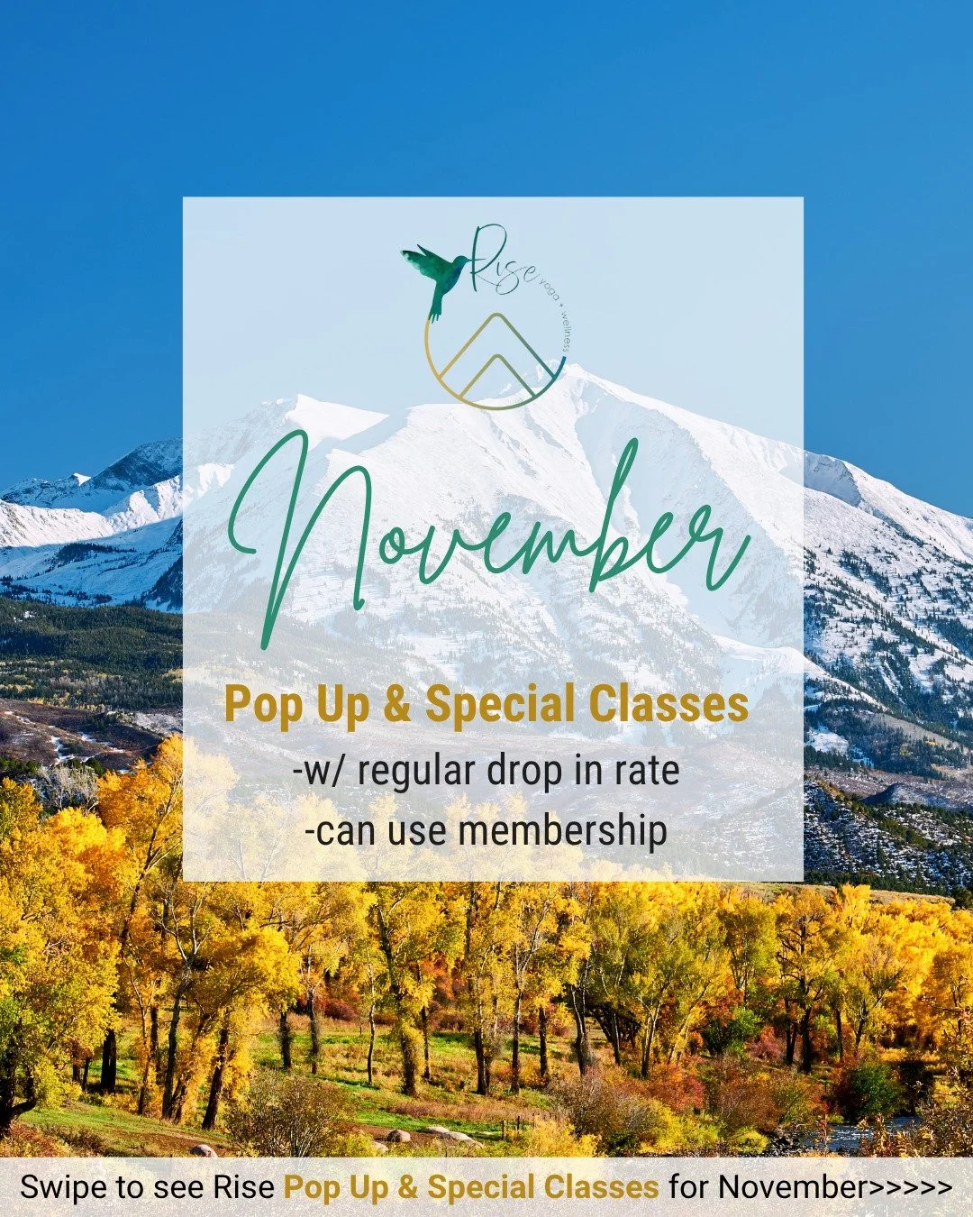 Swipe through to see this month&rsquo;s pop-up and special classes&mdash;all offered at your regular class rate. 🍃

🔗 Click link in bio to sign up! 💫

#riseyogacolorado #risegolden #novembereventscolorado #thanksgiving