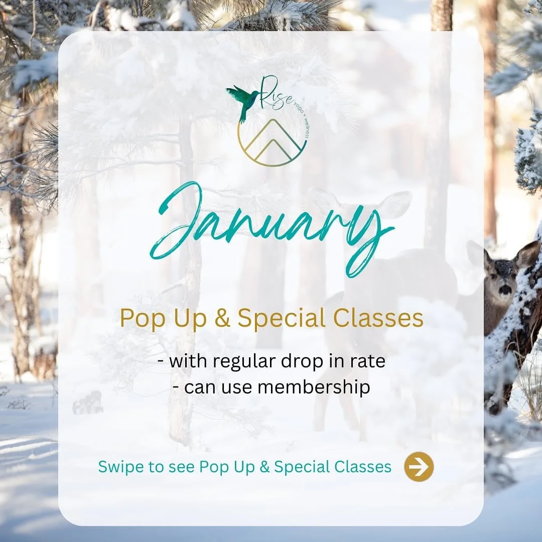 Swipe through to see this month&rsquo;s pop-up and special classes&mdash;all offered at your regular class rate. 🍃

🔗 Click link in bio to sign up! 💫

#riseyogacolorado #risegolden #riseyogaandwellness #wellnesscolorado #coloradowellnessevents