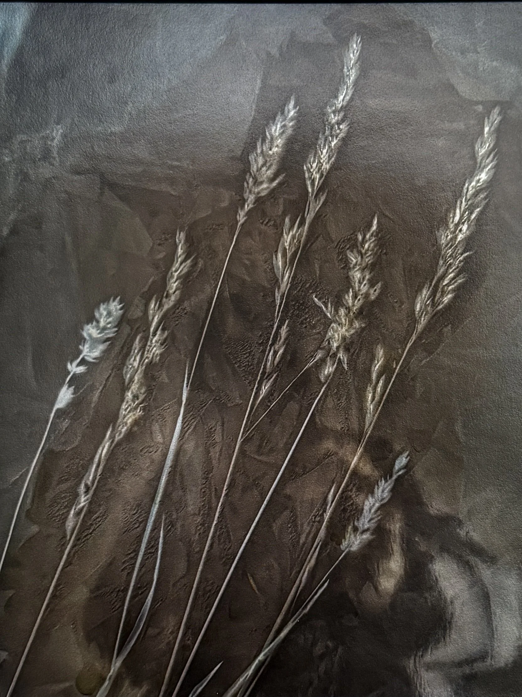 Glowing Grass by Julie Moore