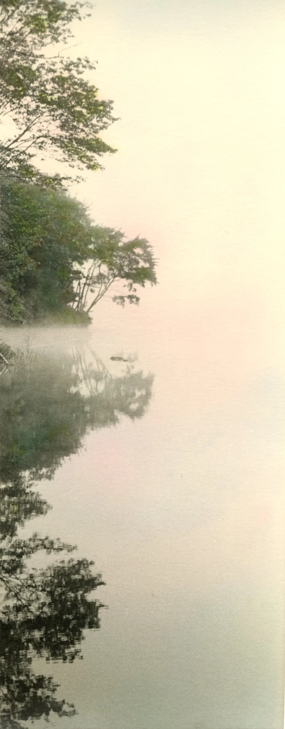 Misty Point by Donna Lee Rollins