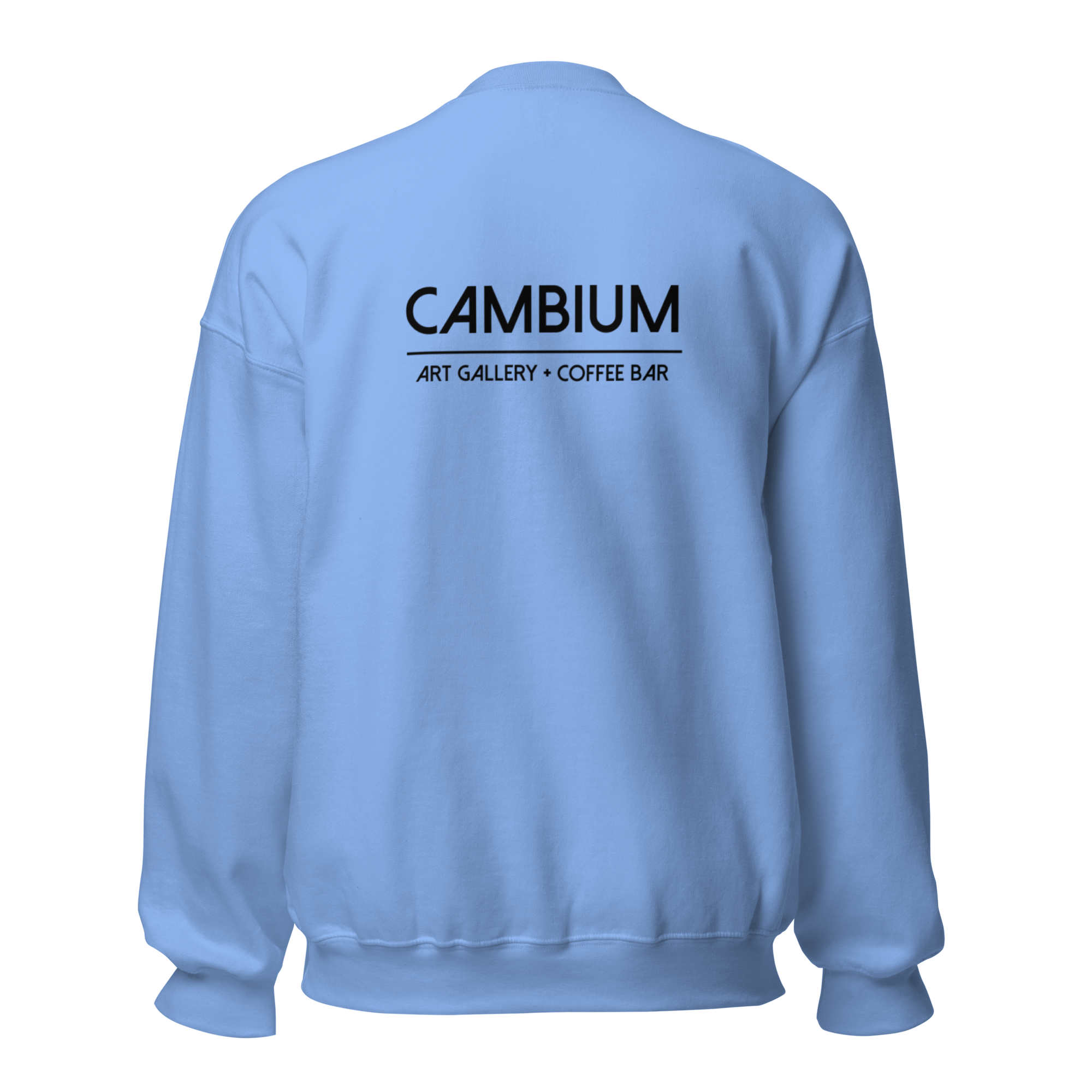 unisex-crew-neck-sweatshirt-carolina-blue-back-692f3338bf821.png