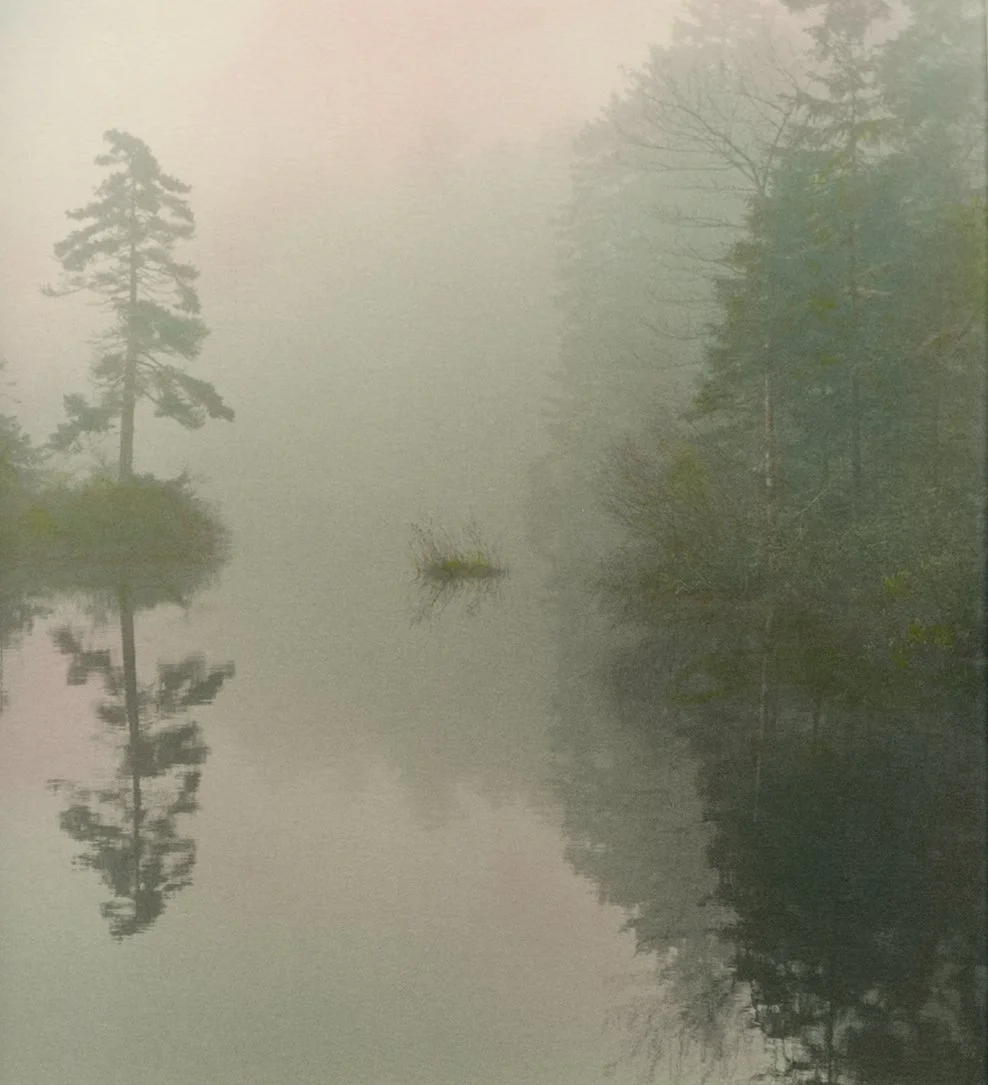 Foggy Marsh by Donne Lee Rollins