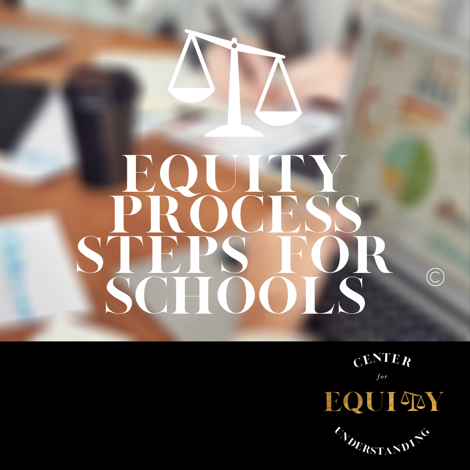 Equity Process Steps © - Schools