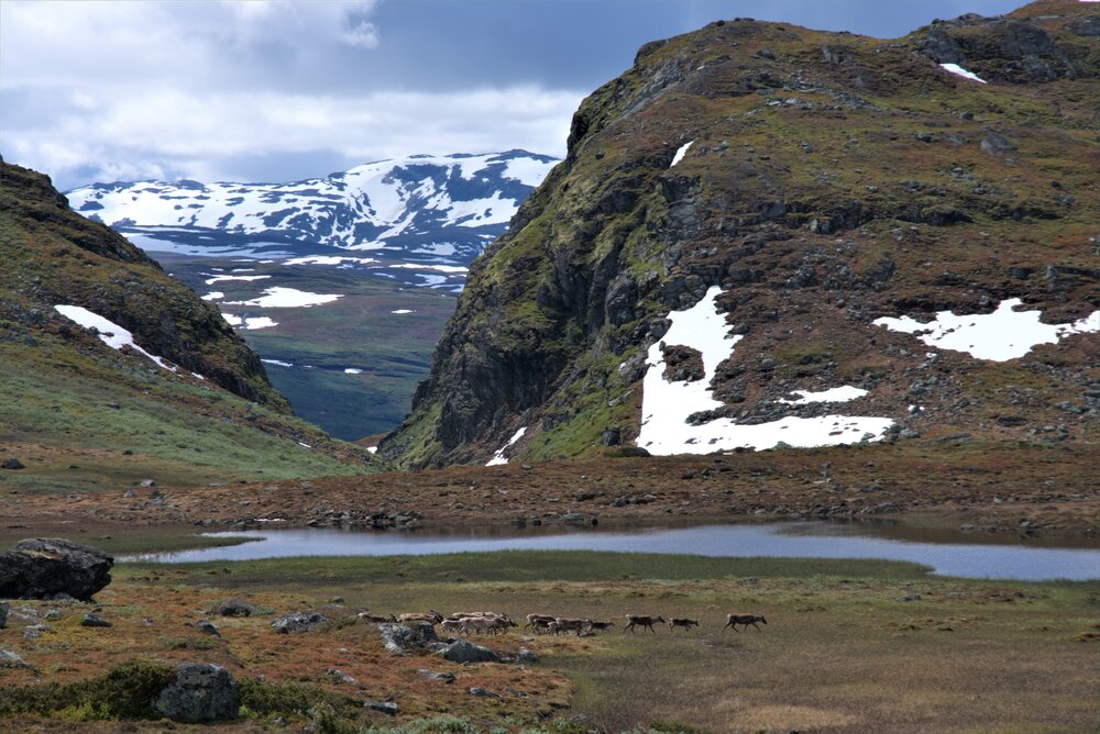DSC_0297.jpg