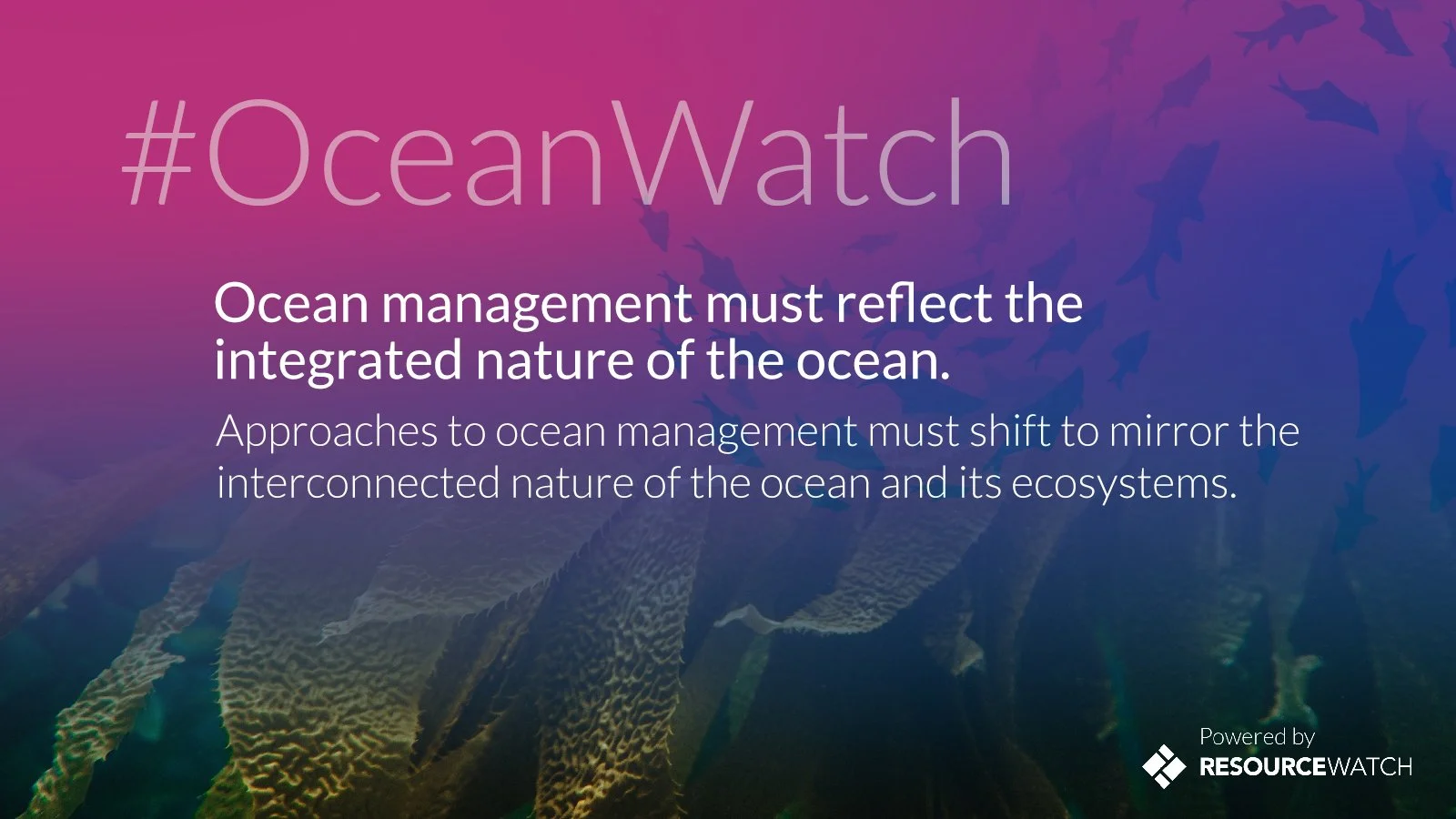 OceanWatch_Tile6_final.jpg