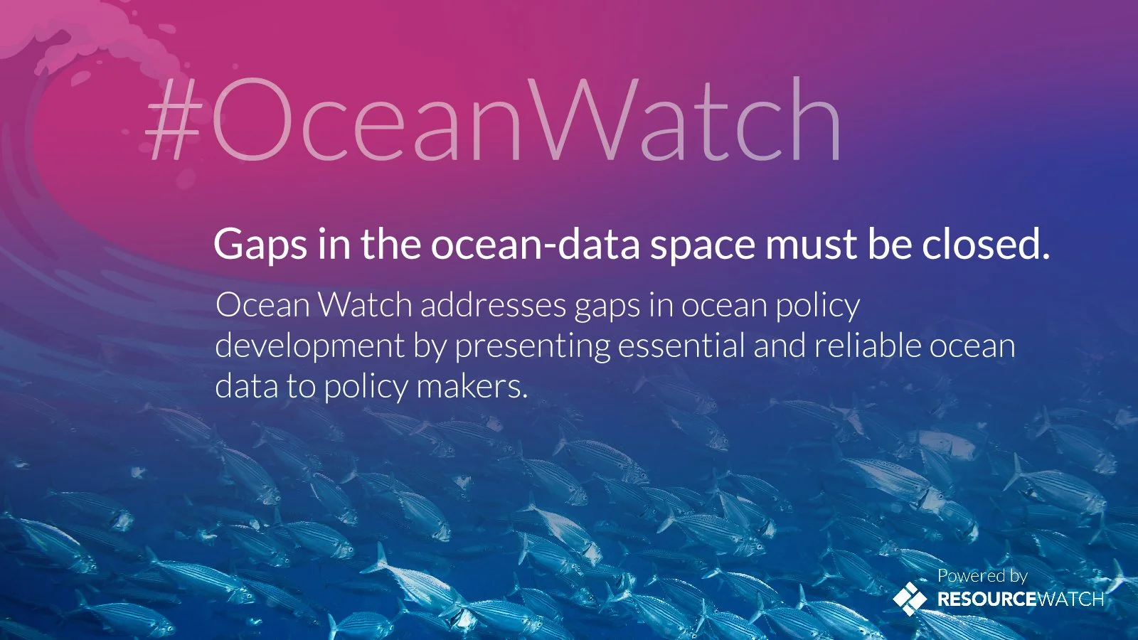 OceanWatch_Tile5_final.jpg