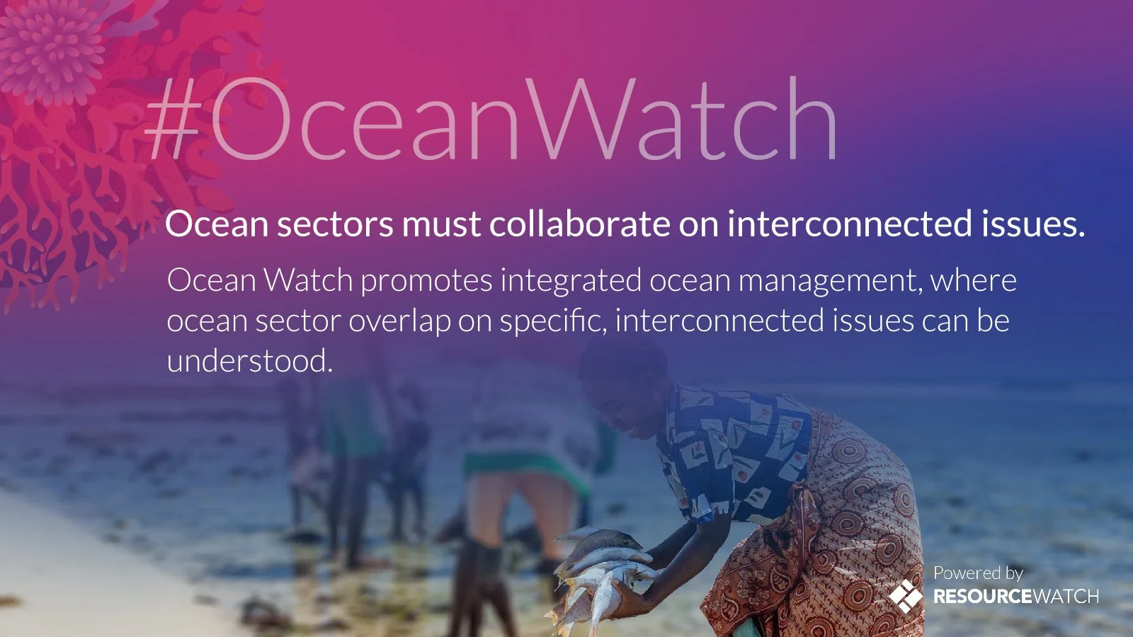 OceanWatch_Tile3_final.jpg