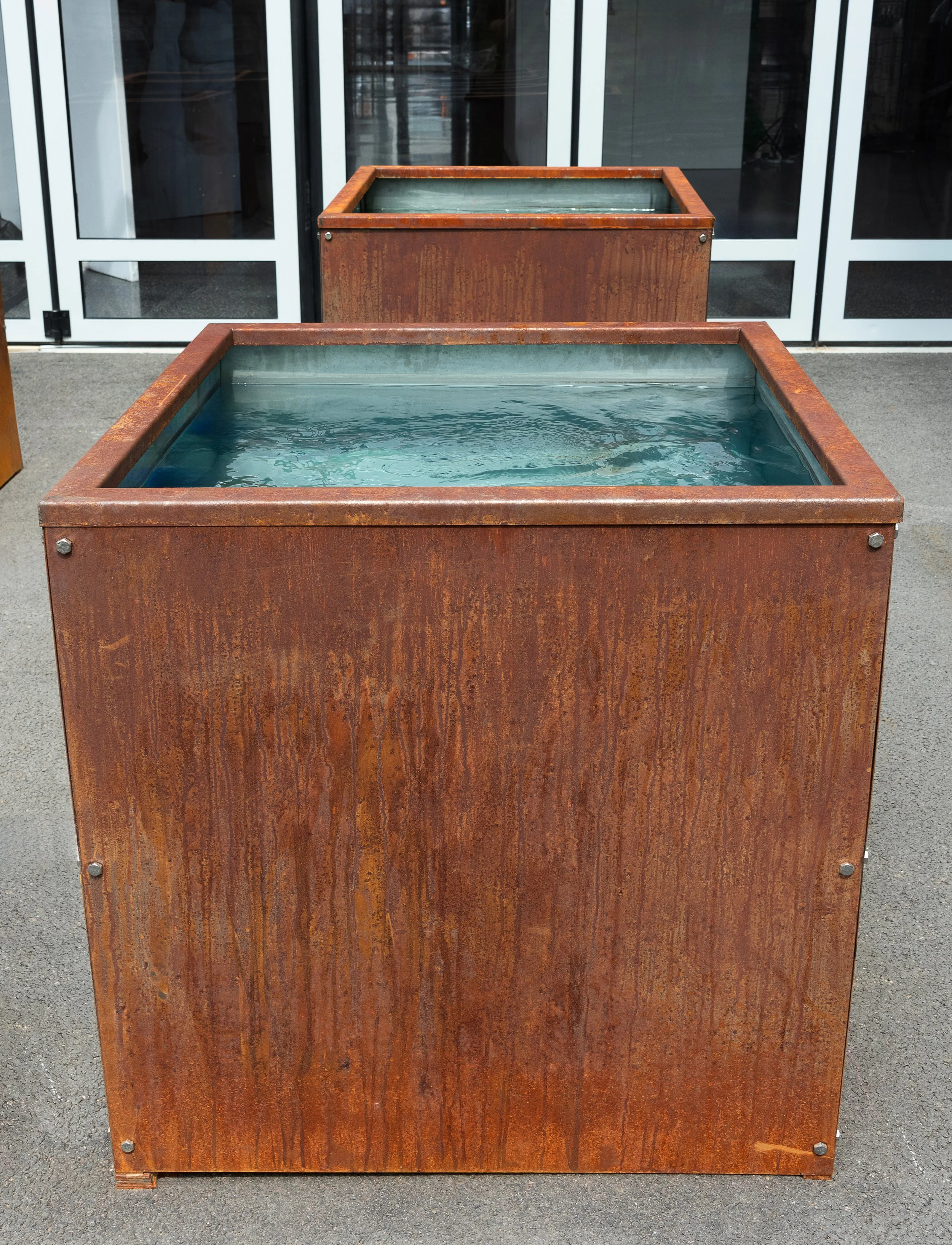 DcleanerSC_5692 (1)-1 copy.jpg