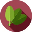 Plant Powered Metro NY 21-Day Jump Start Program