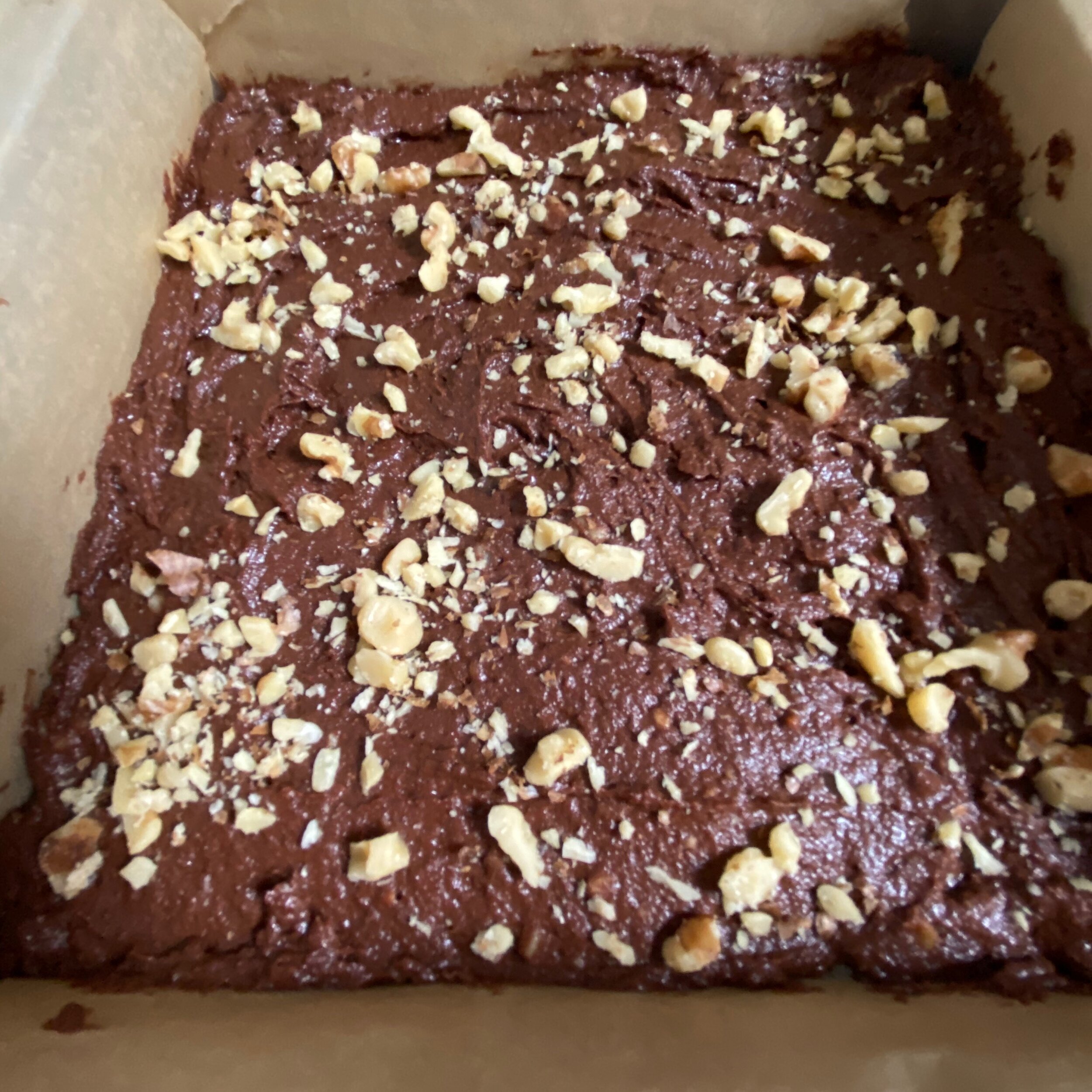 Fudgy Brownies2.jpeg