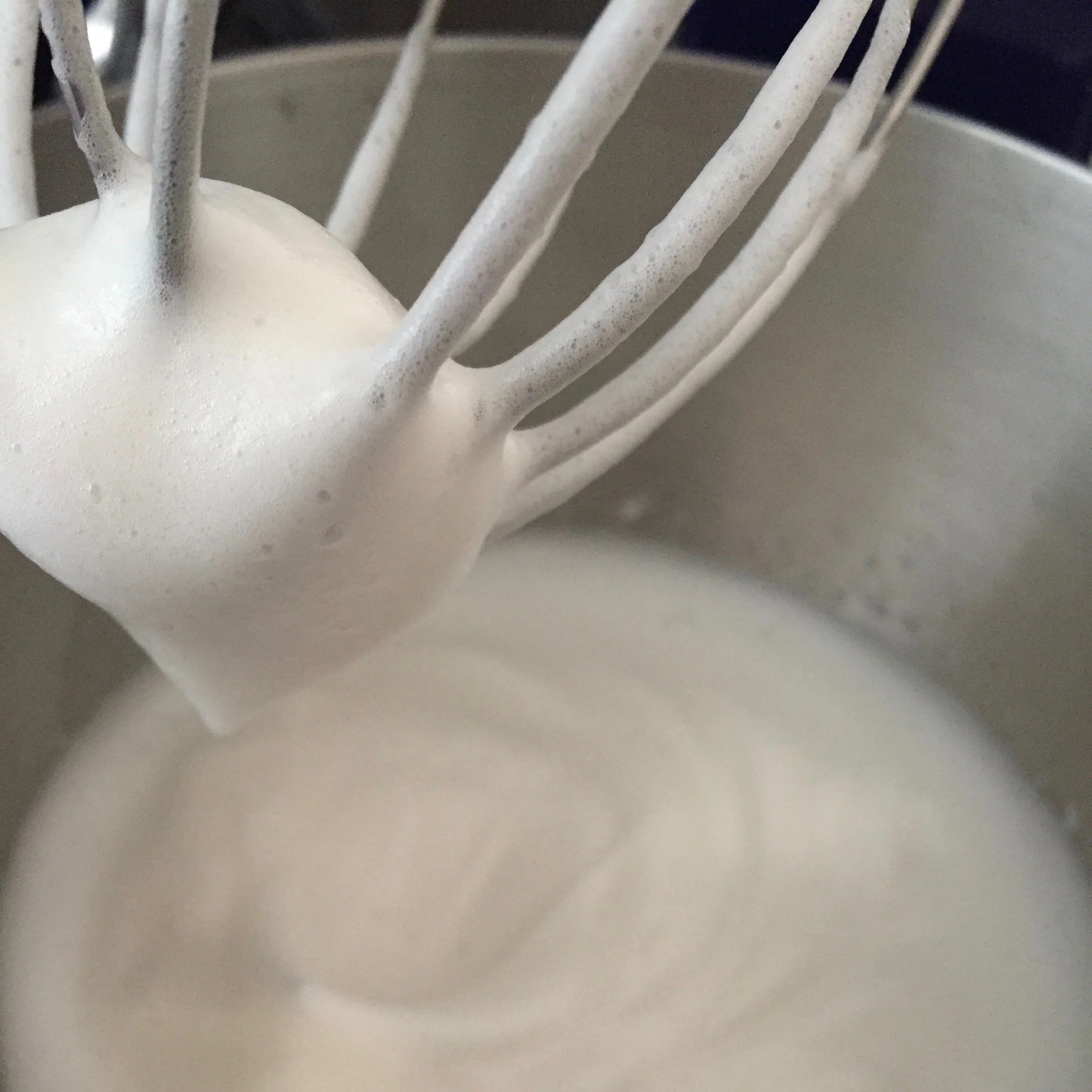 Chocolate Mousse1.jpeg