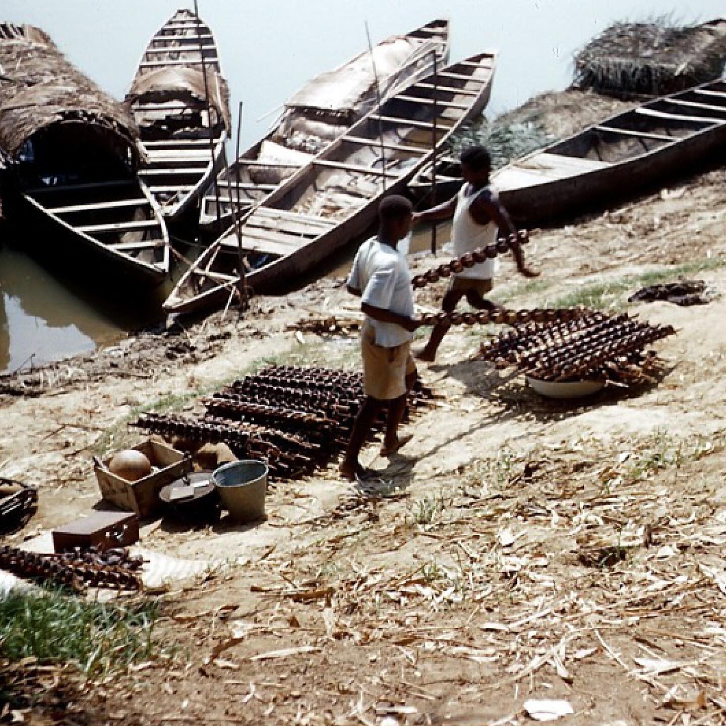 The River Flows On. As persons of African Descent in the Diaspora, we use our stories to create bridges that link our past beginnings, present, and future legacies, so that we may create a narrative that fills the void that currently exists in our co