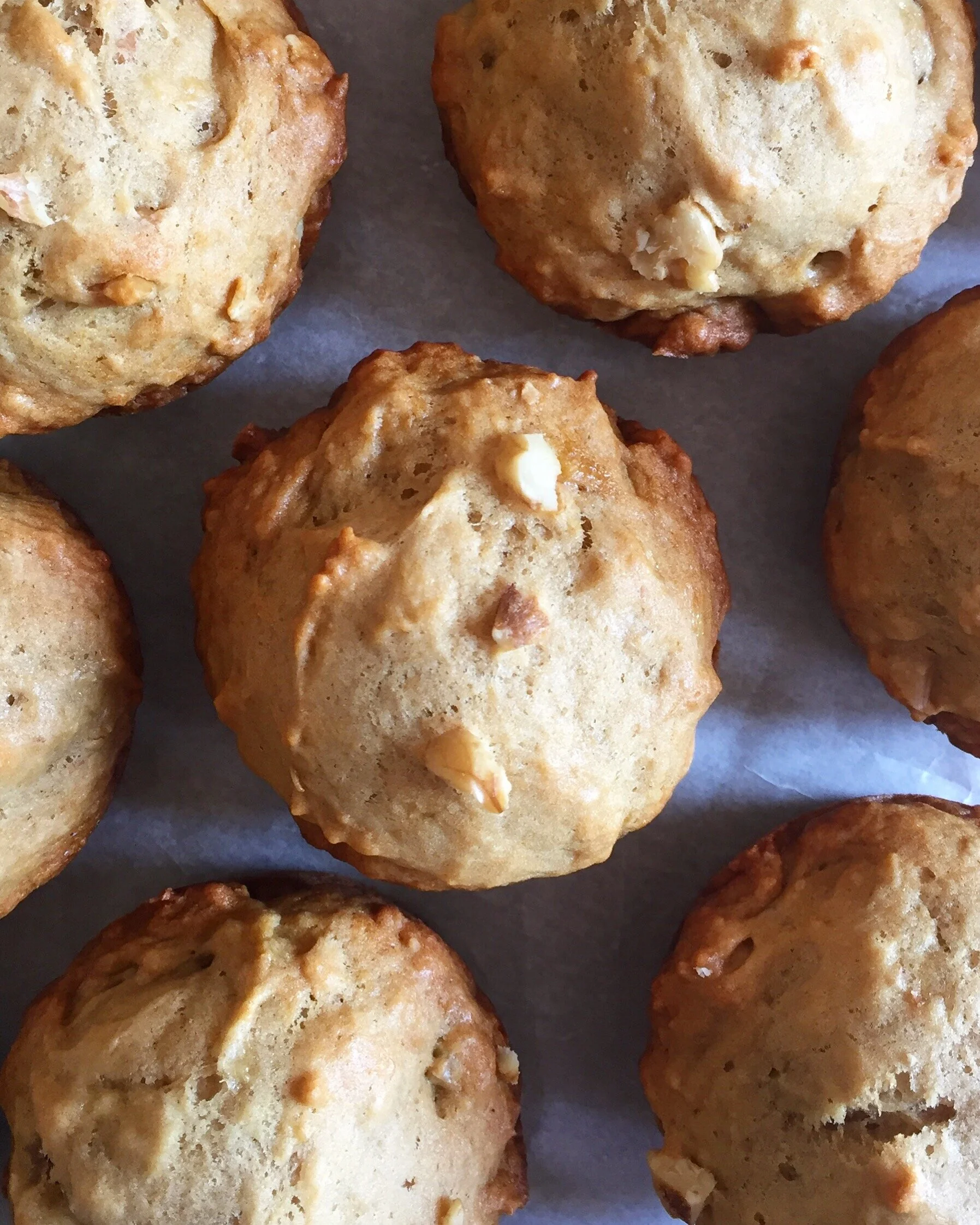 Banana Walnut Protein Muffins. Harvest & Nourish