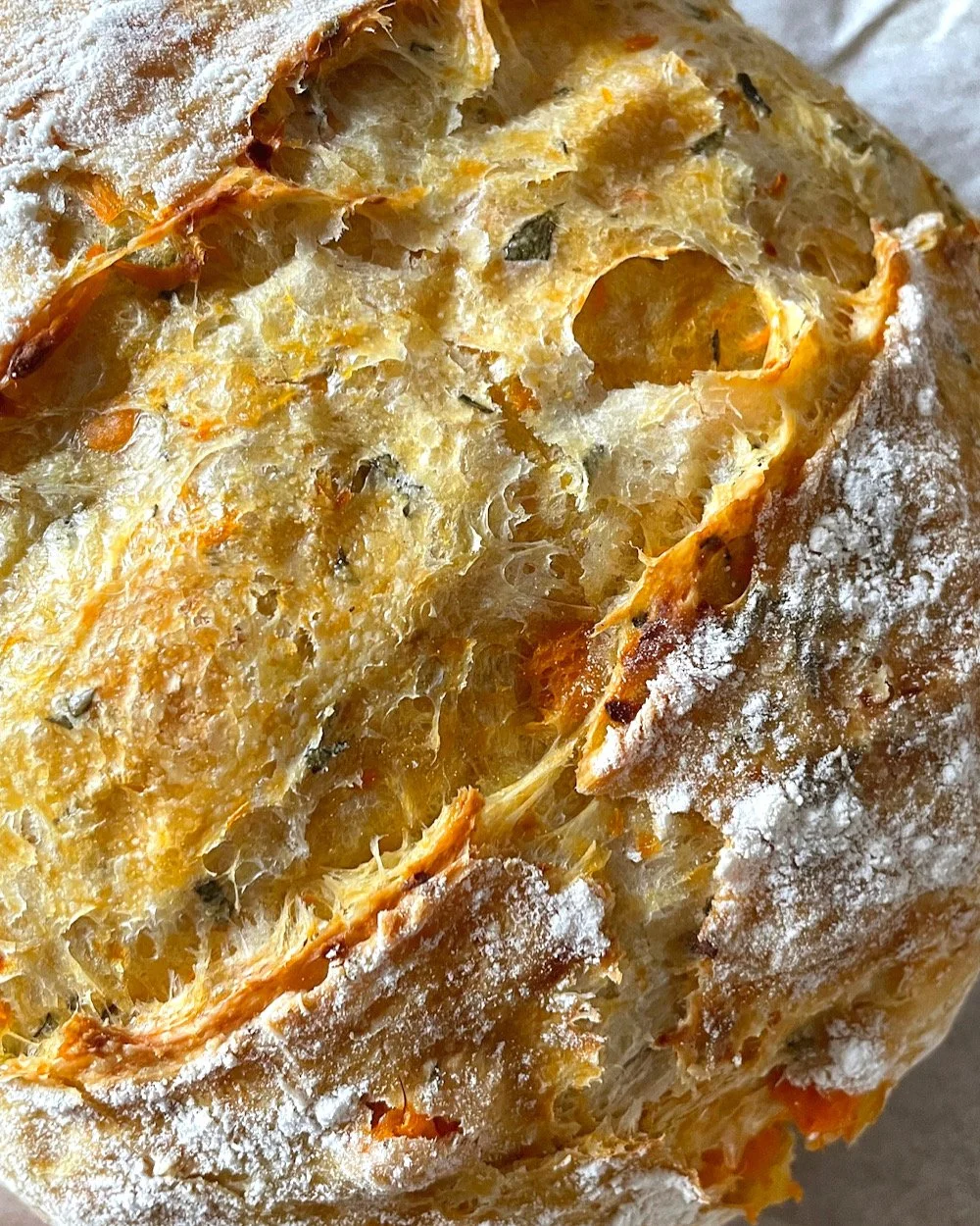 Everyday Artisan Bread. Harvest & Nourish