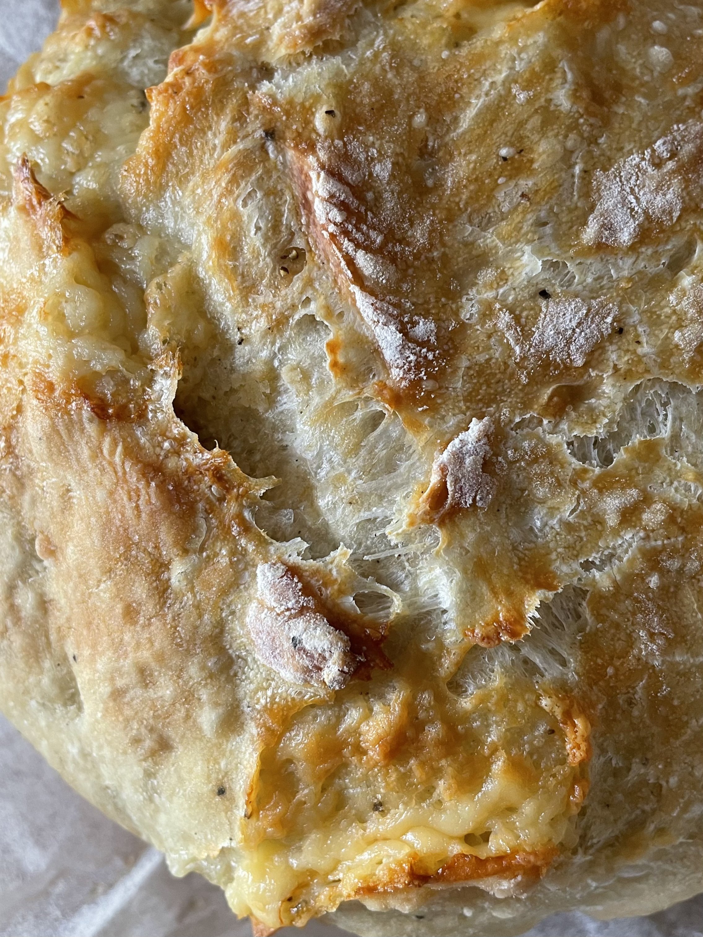 Dutch Oven No Knead Bread (with perfect crusty crust!) - Bowl of