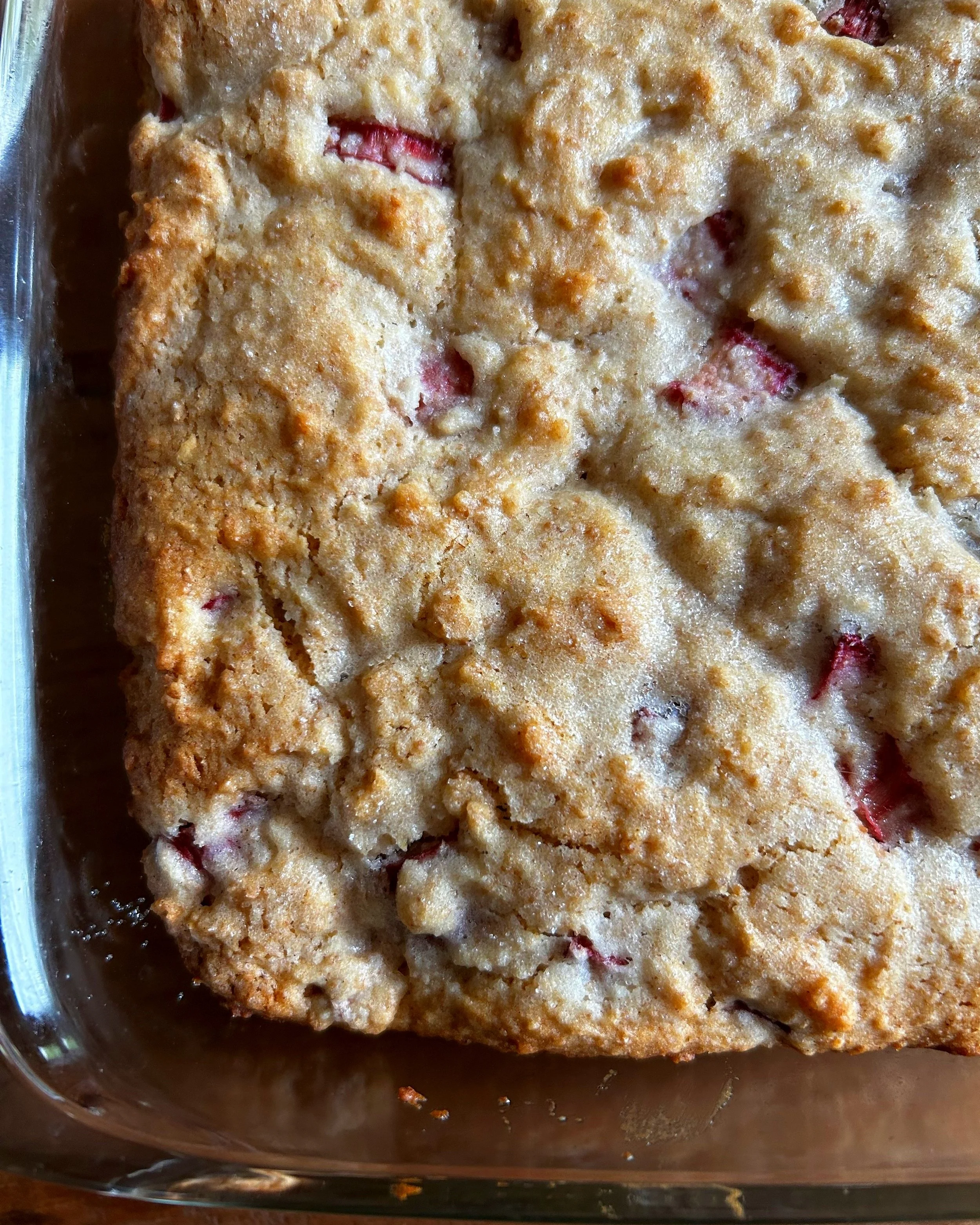 Coconut Rhubarb Breakfast Cake. | harvestandnourish.com