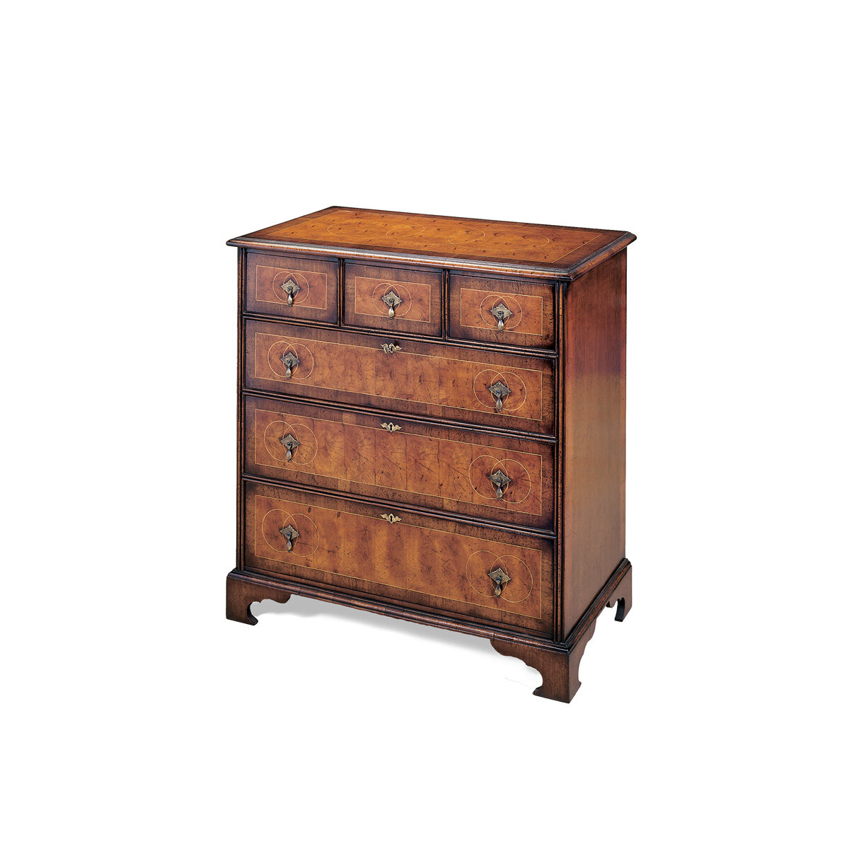 Large Oyster Veneer Chest in Yew Wood