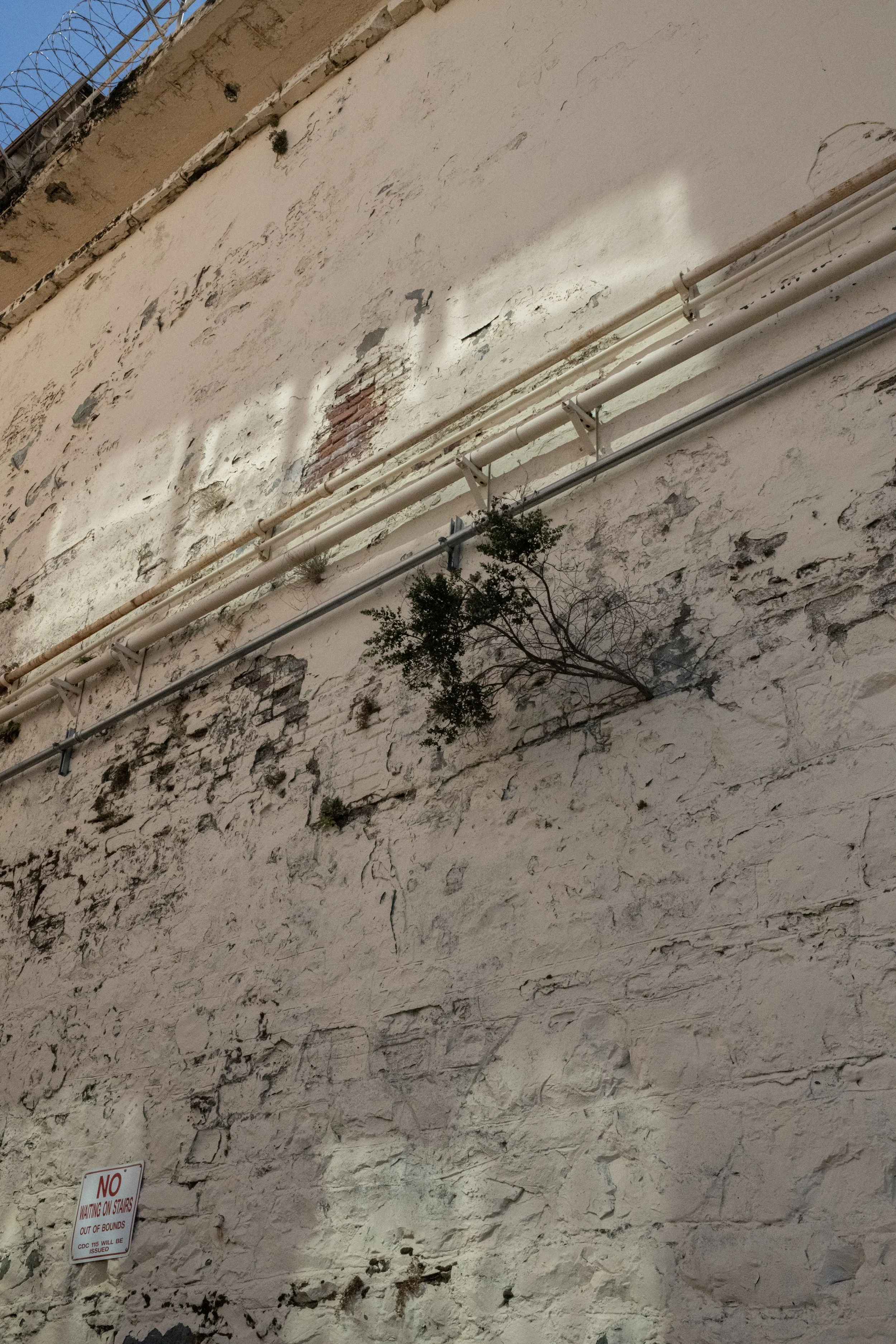 Close-up of a weathered, chipped white brick wall with peeling paint and small plants growing in the cracks. There are pipes running along the wall, secured with brackets. A small red and white sign reads, 'NO WAITING ON STAIRS, OUT OF BOUNDS, CDC 11