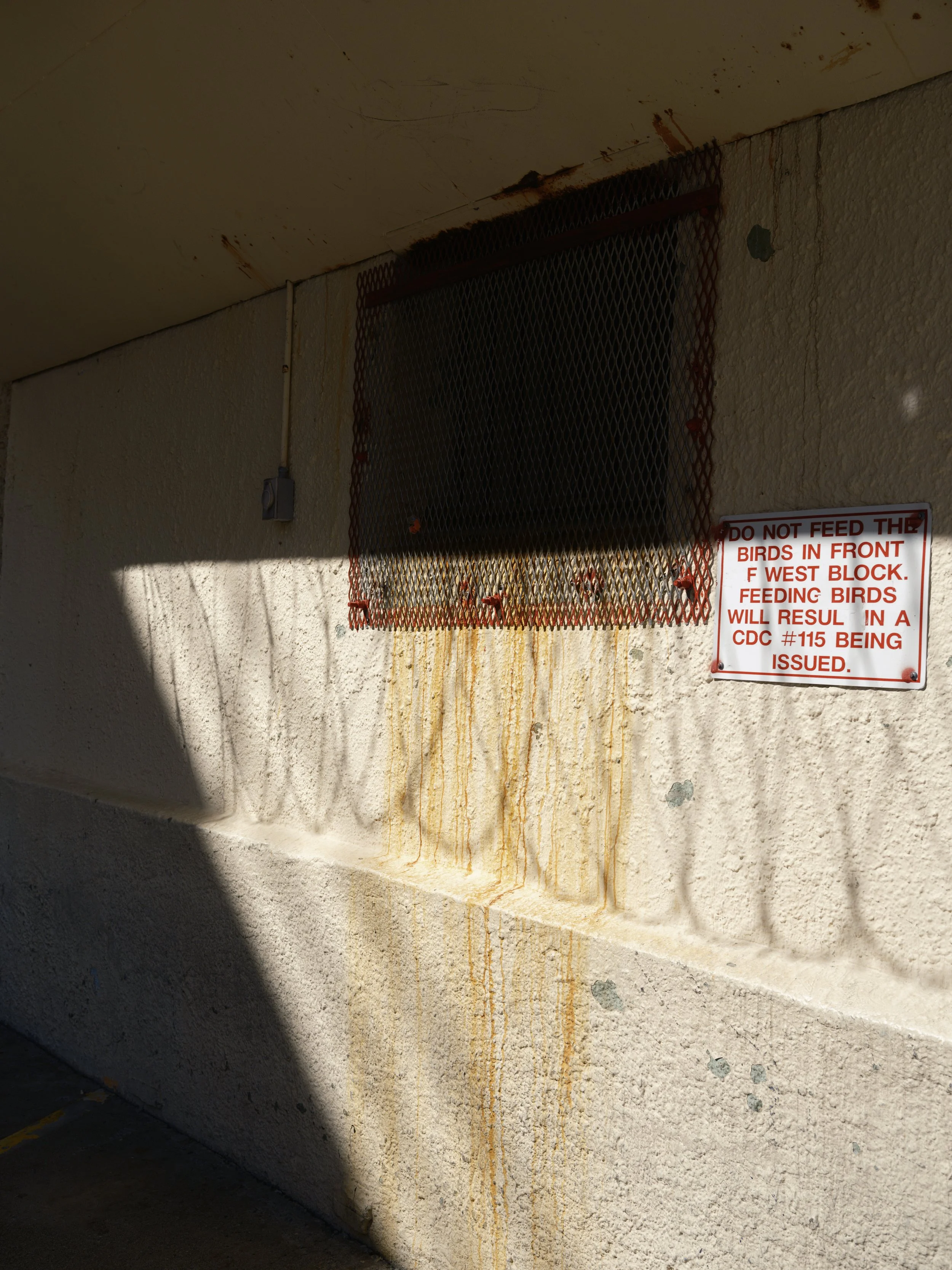A beige stucco wall with rust stains dripping down from a window covered by a metal grate. A sign with red text warns against feeding birds in front of a west block.