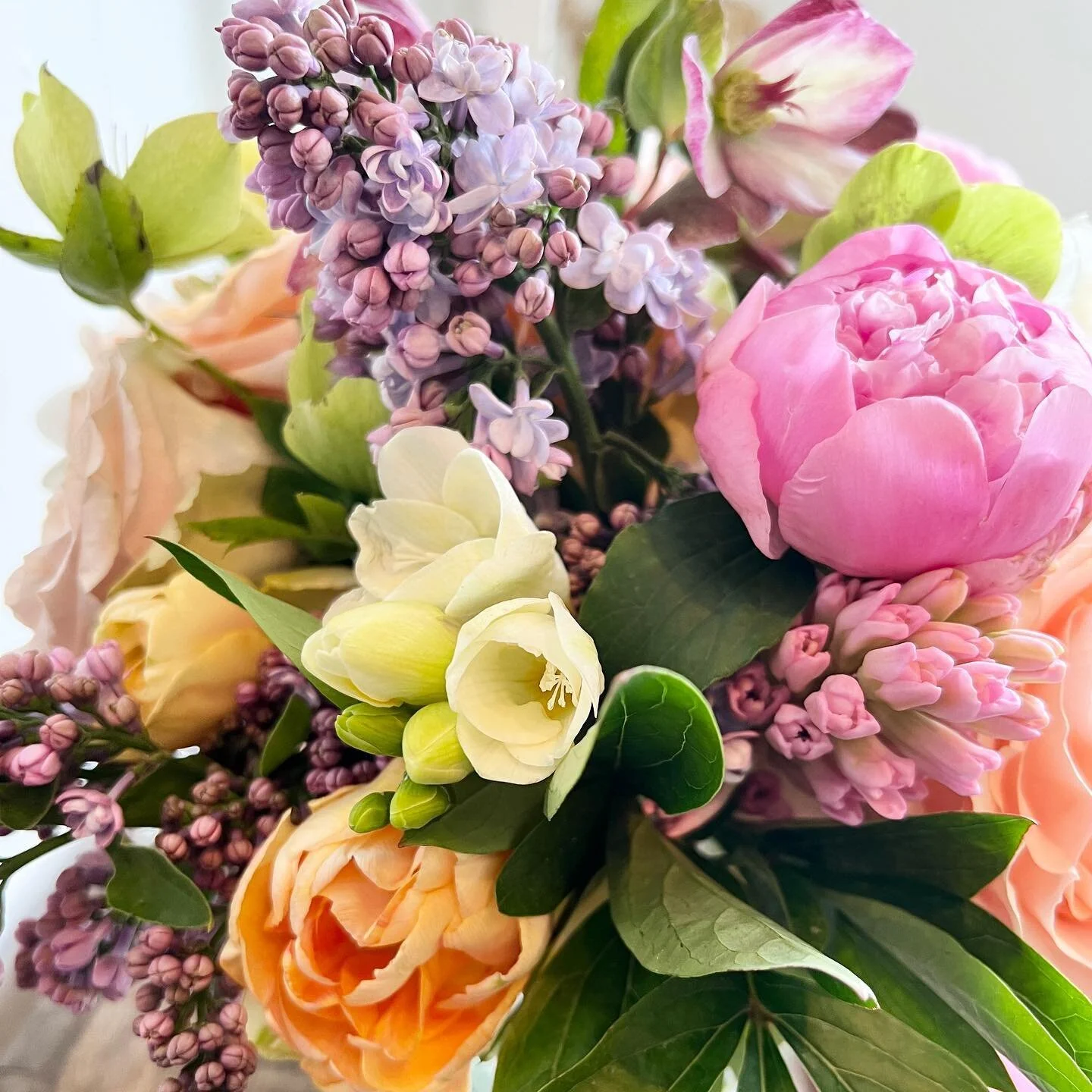 Hey Edmonds&hellip;
We&rsquo;re starting to see peony &amp; lilac!
How&rsquo;s your Friday going? 

#edmonds #edmondswa #flowershop #florist #seattleflorist #smallbusiness #lilac #peony #weloveflowers