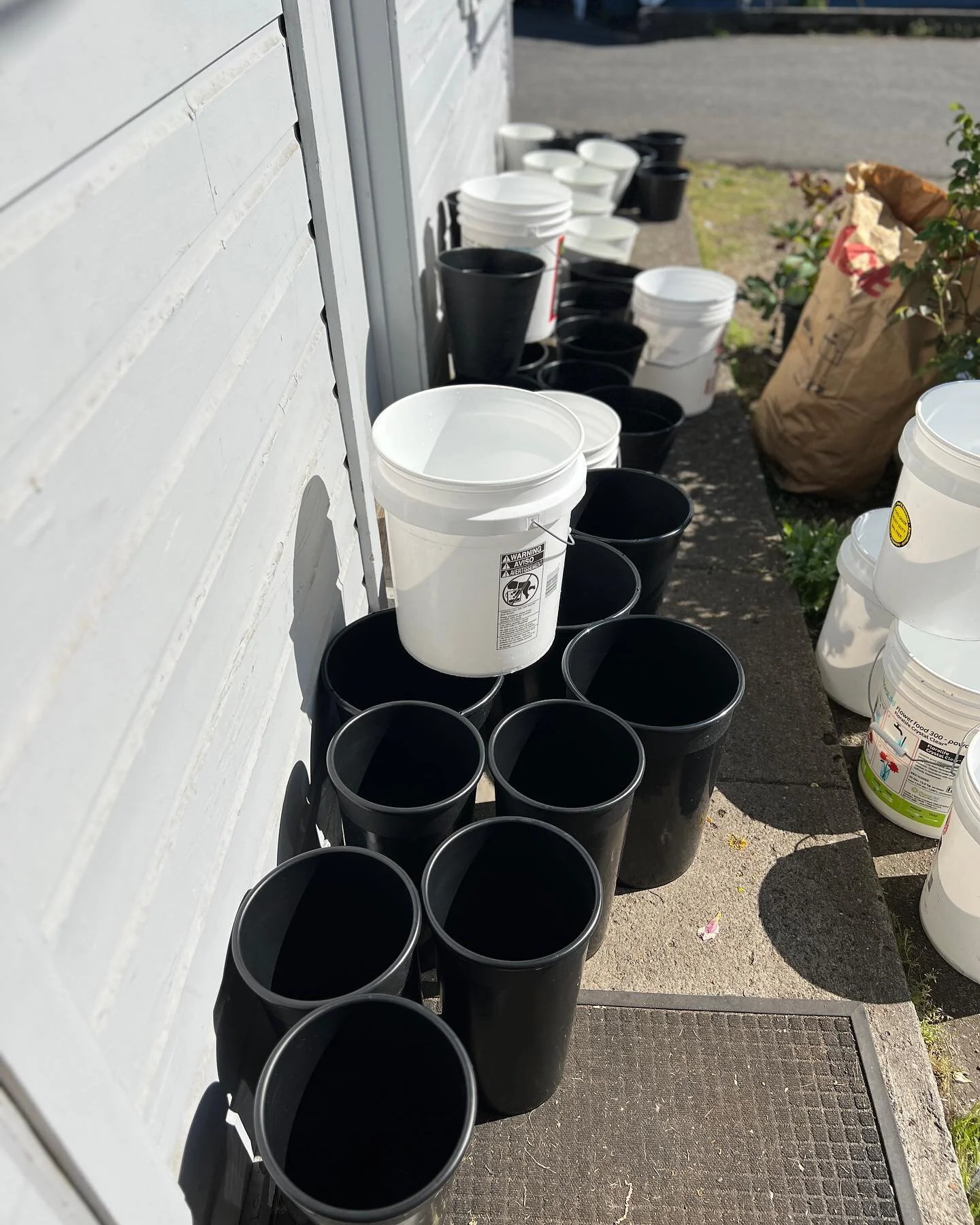 That&rsquo;s a wrap! So many buckets and so many beautiful blooms. The heat was not doing us any favors so be sure to give your flowers some extra water and a home in the coolest part of your house. 

Thank you, Edmonds. We sure do love you.