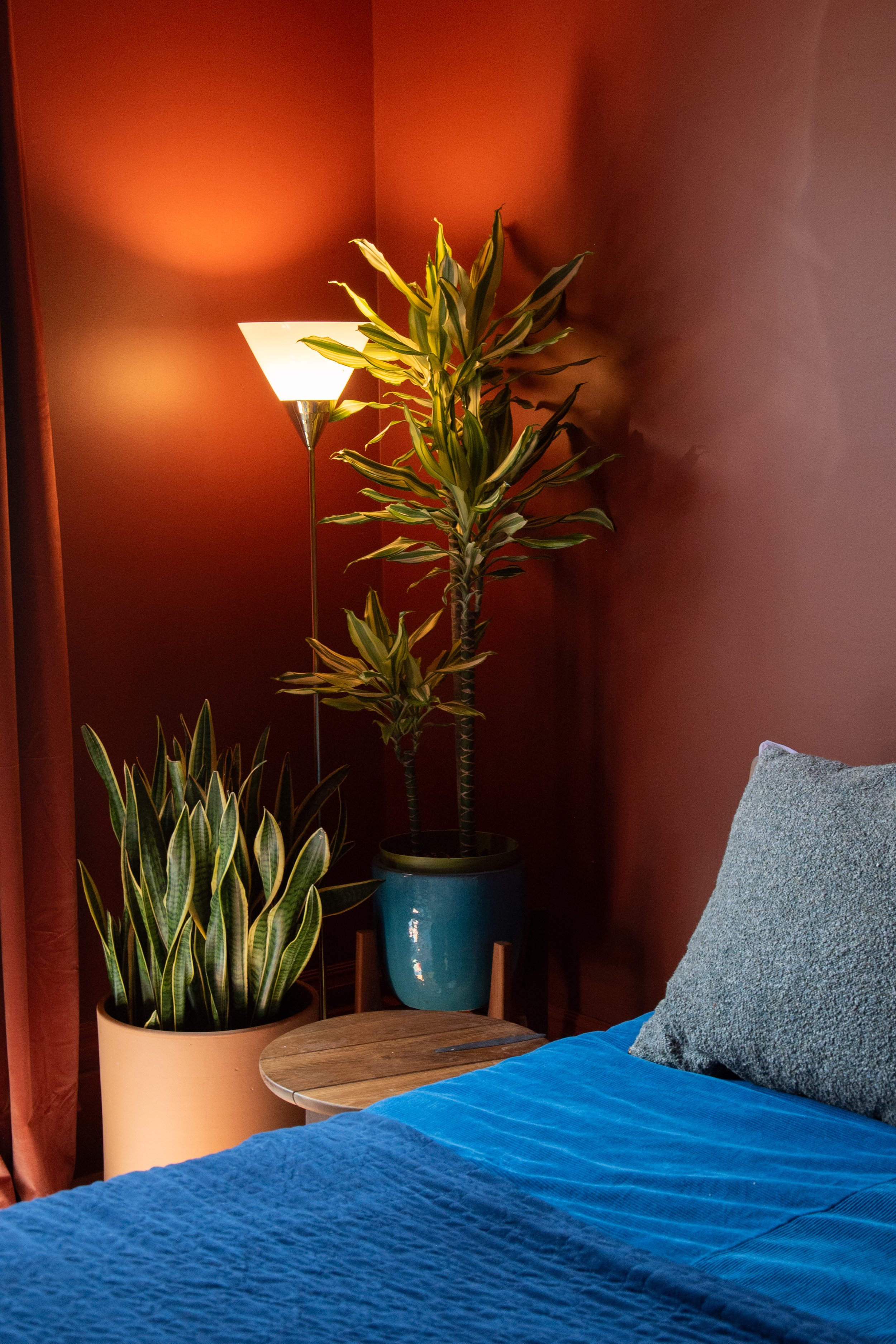 Noe Valley SF mid modern bedroom AGD Builds 32.jpg