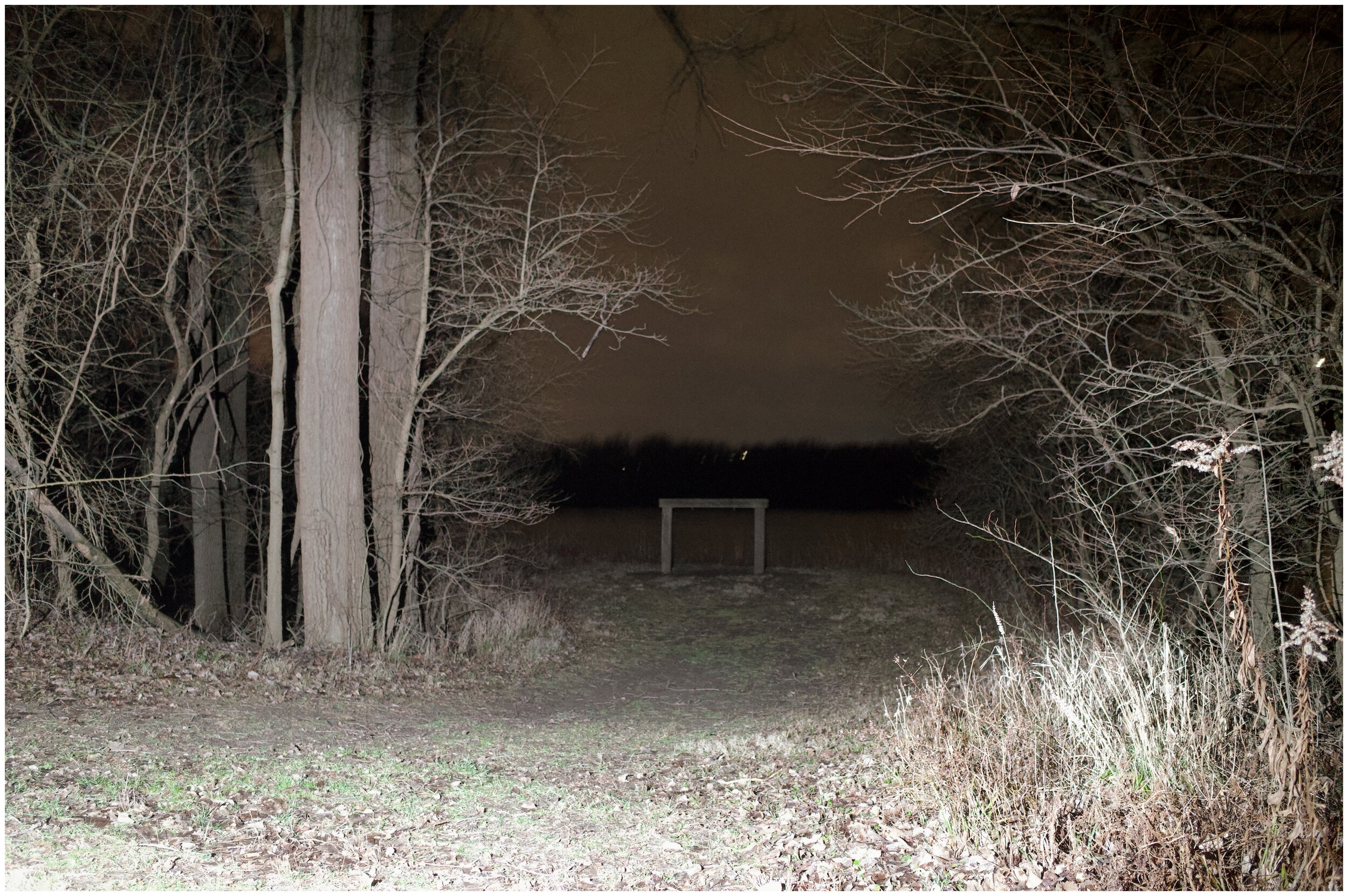 R0070265.DNG.jpg