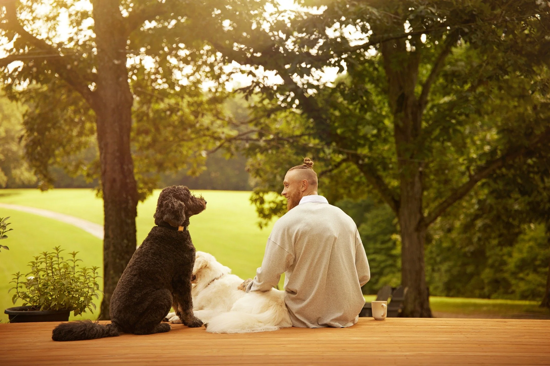 Thank you George Kittle for welcoming in our crew and letting us capture magical moments with Dennie and Hobbes. These pups are living their best lives! 
Thank you @proplan, @purina and @burnstudio.co
@gkittle with Deenie and Hobbes
Photo: @sarama