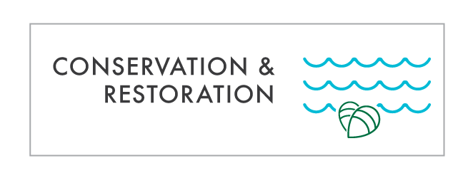 conservation.png