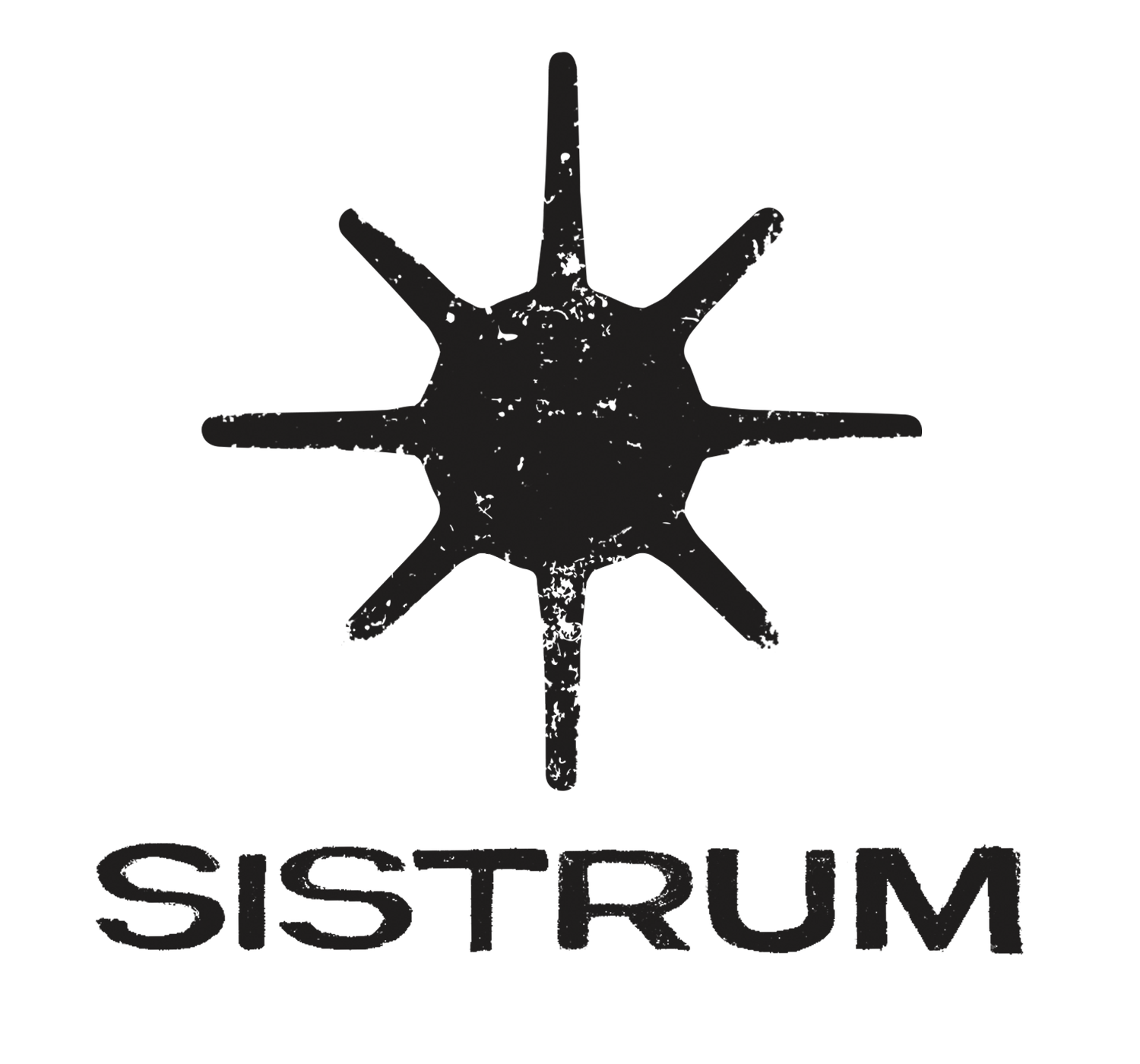 SISTRUM MANAGEMENT
