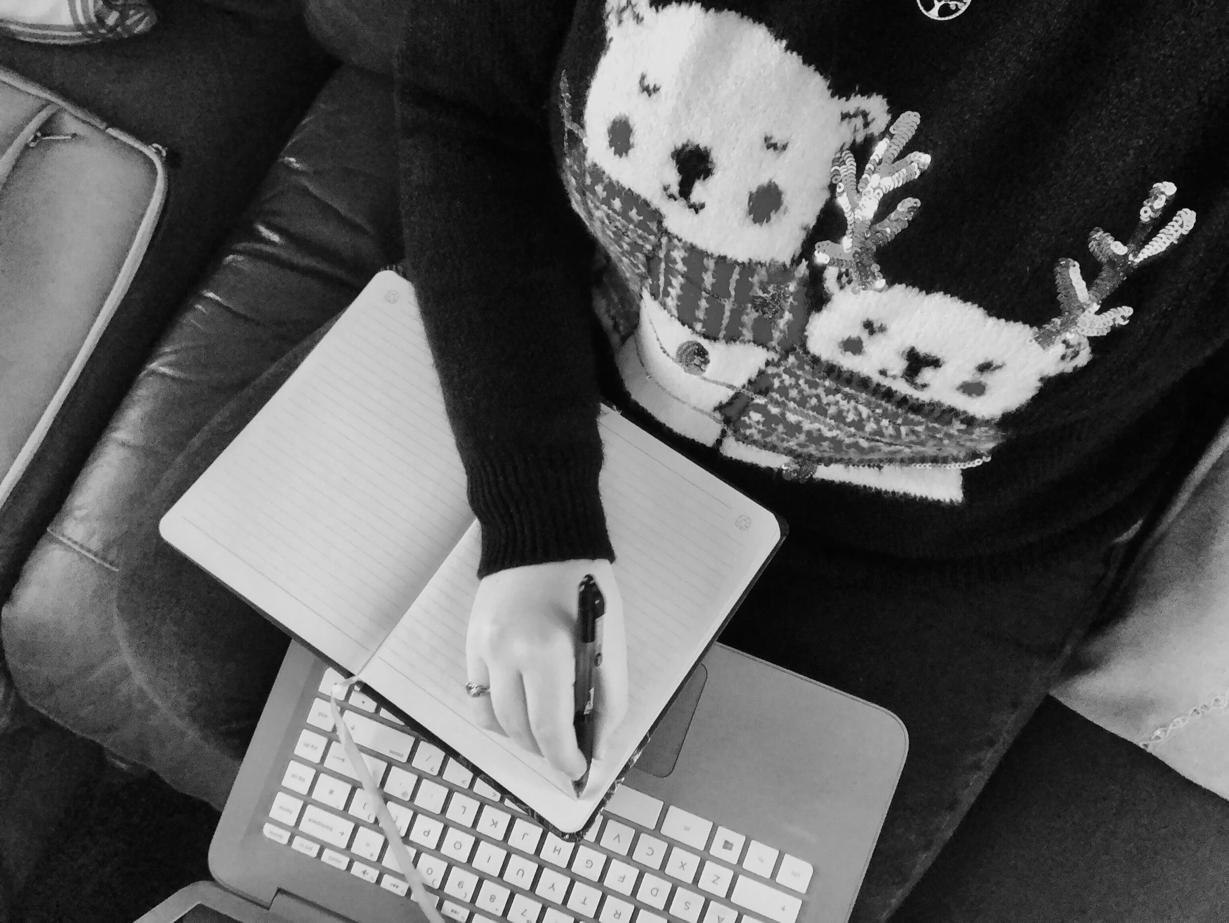 Winter's Writing Wings