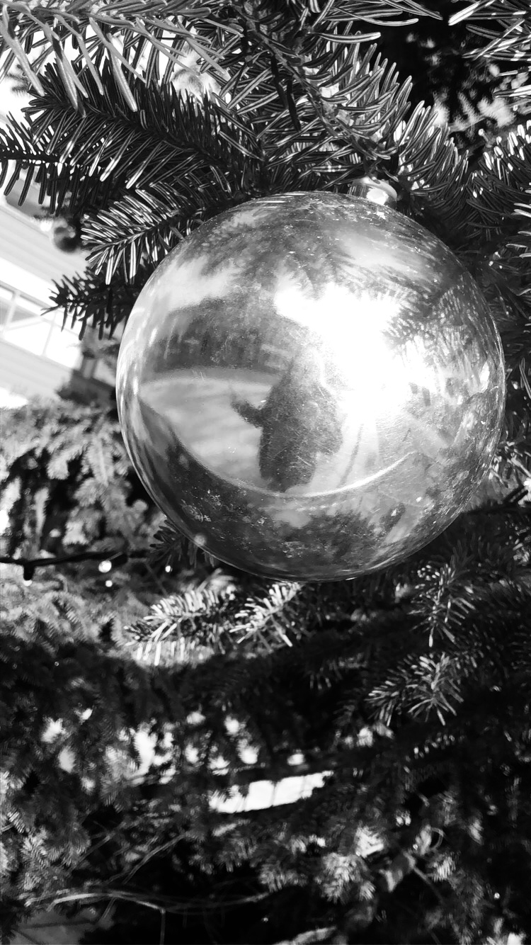 Festive Flight